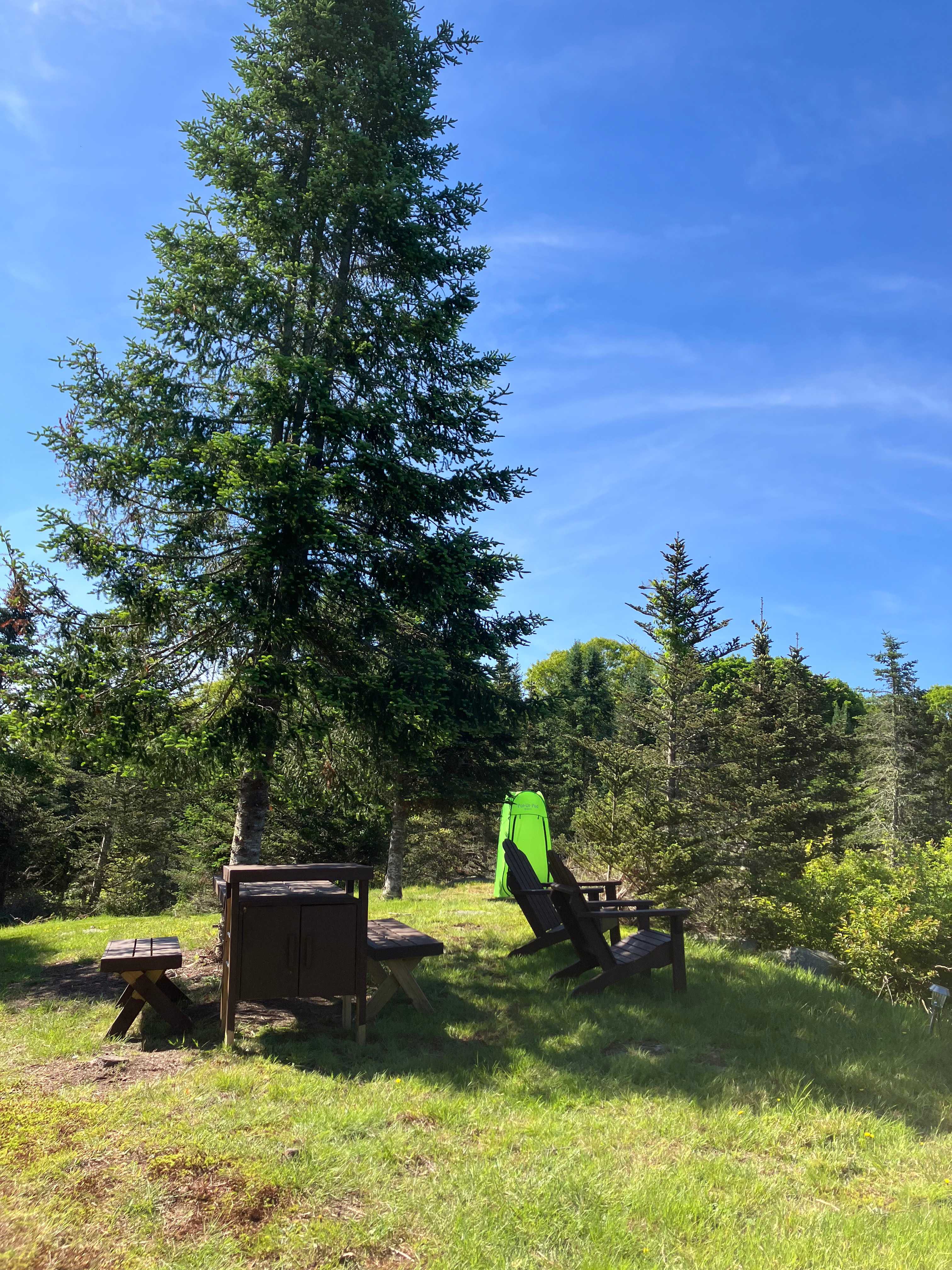 Picture of the site