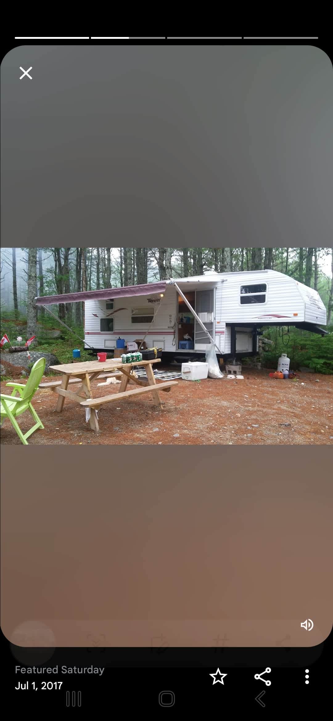 Peaceful ✌️Pines