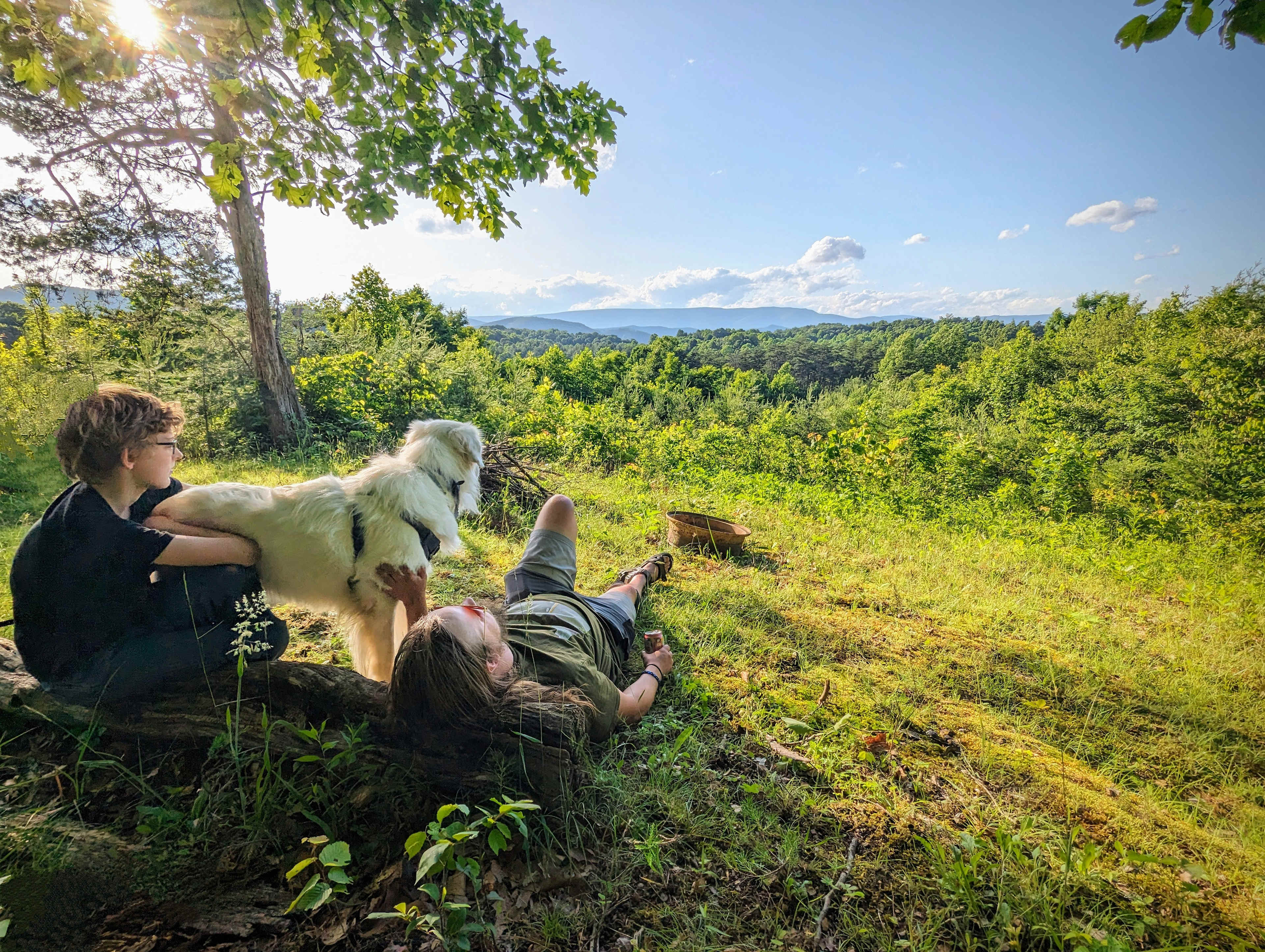 Frolic And Forage