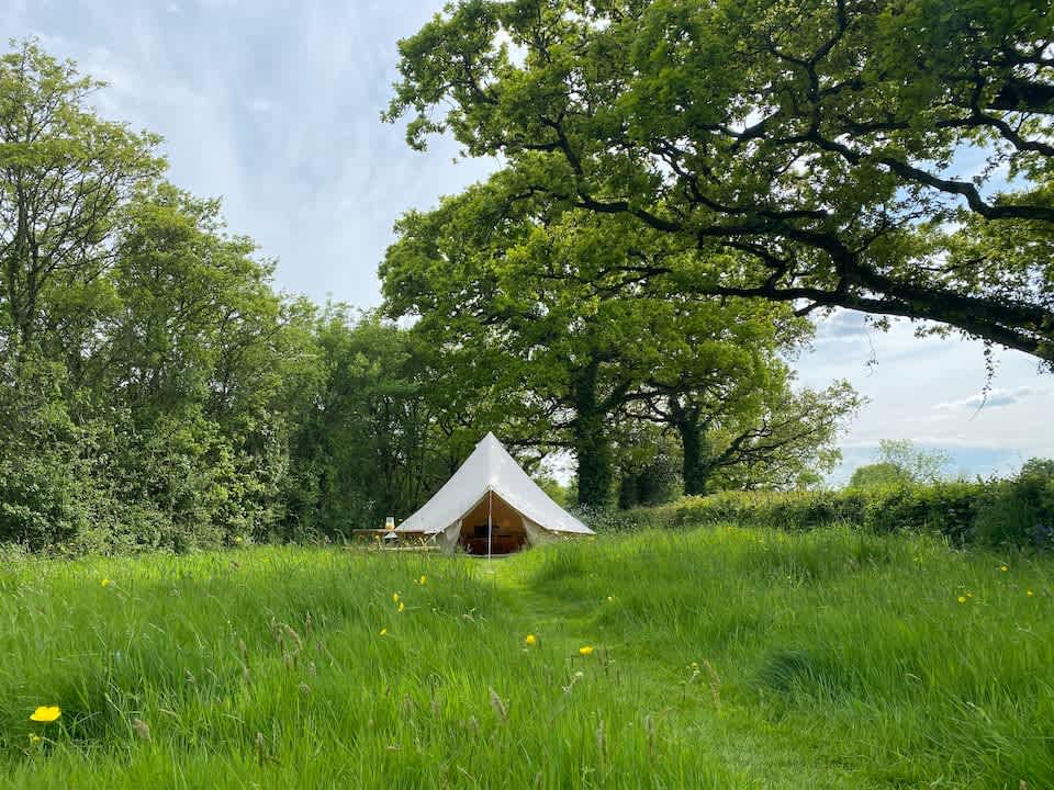 Wild Flower Meadow Campsite