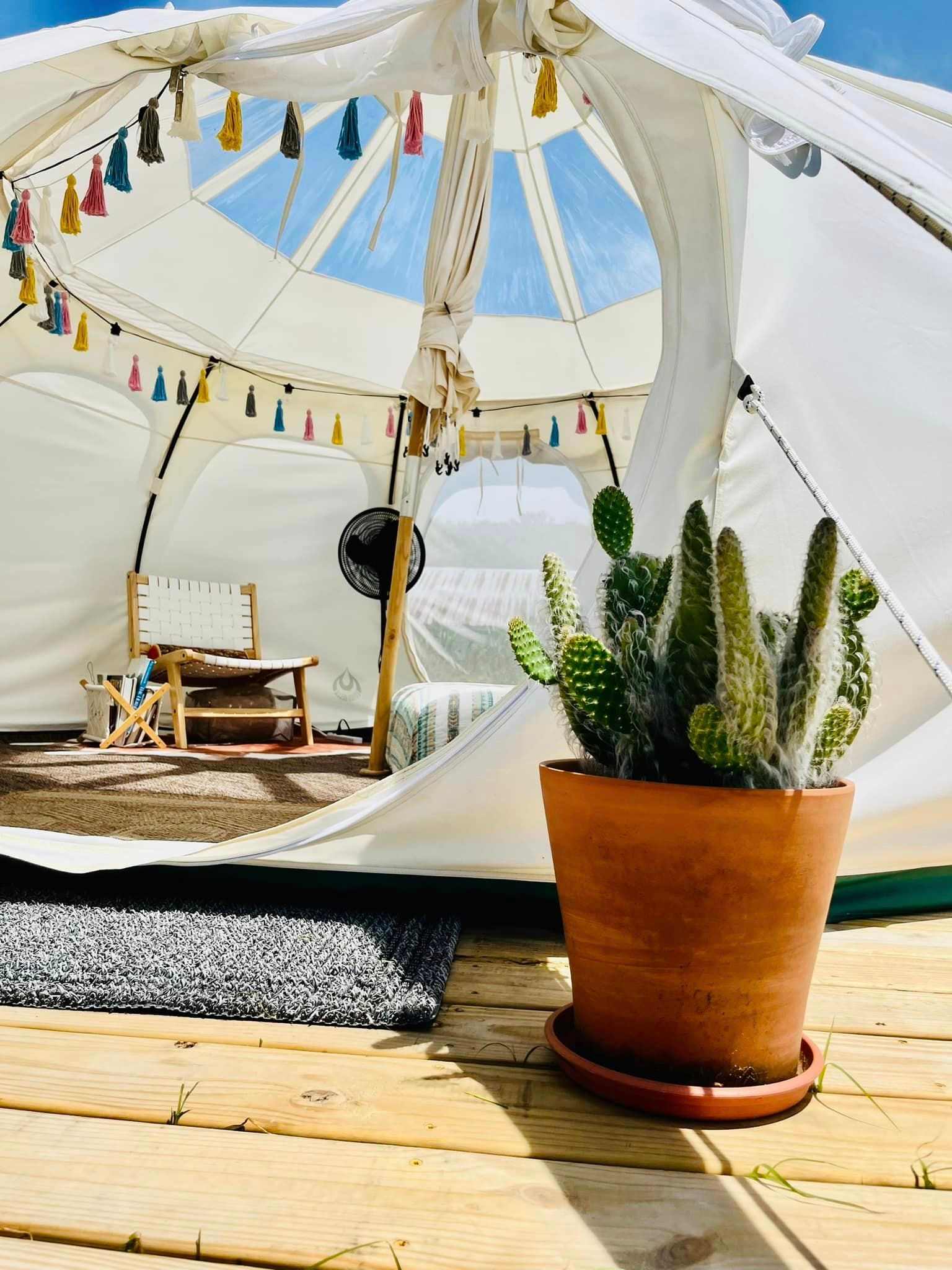 Stargazer Yurt Near Ocean City, MD