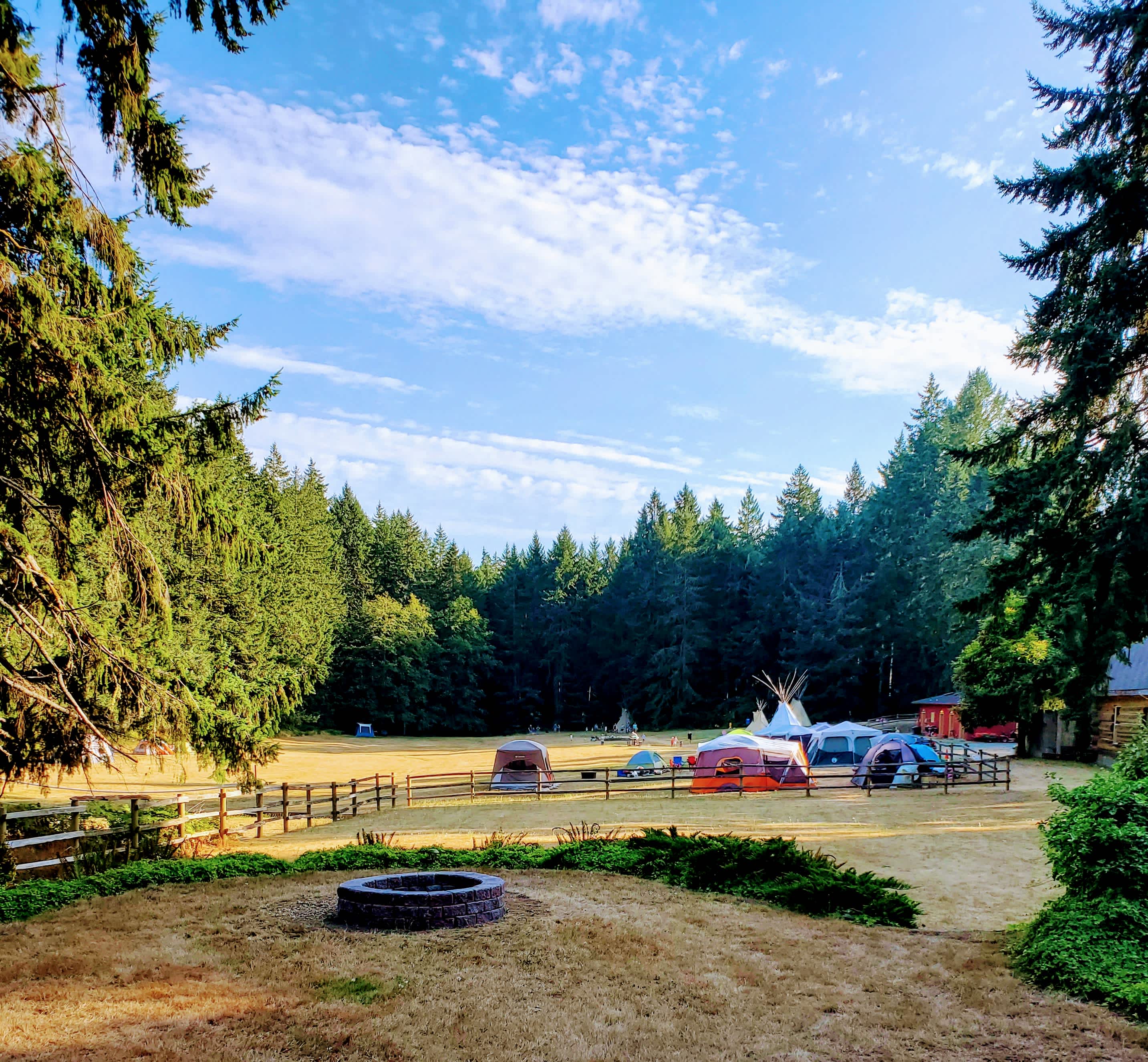 Picture of the site