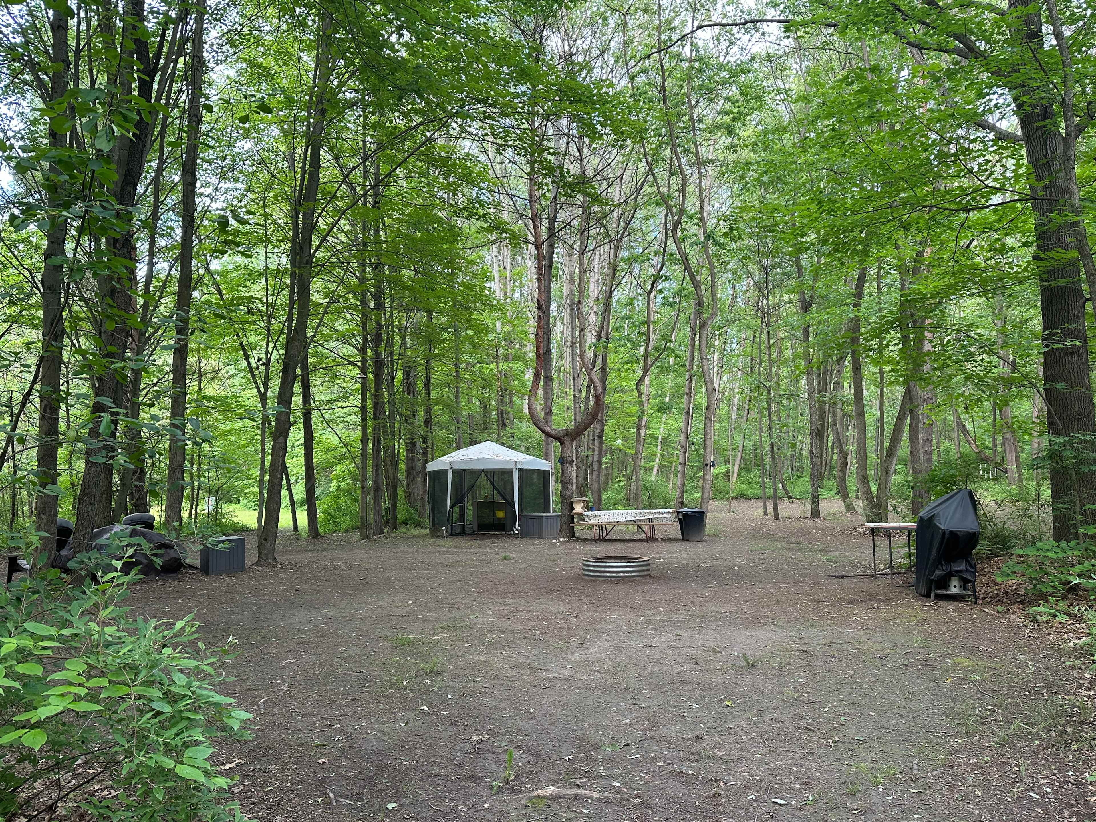Sugar Shack Disc Golf Campground