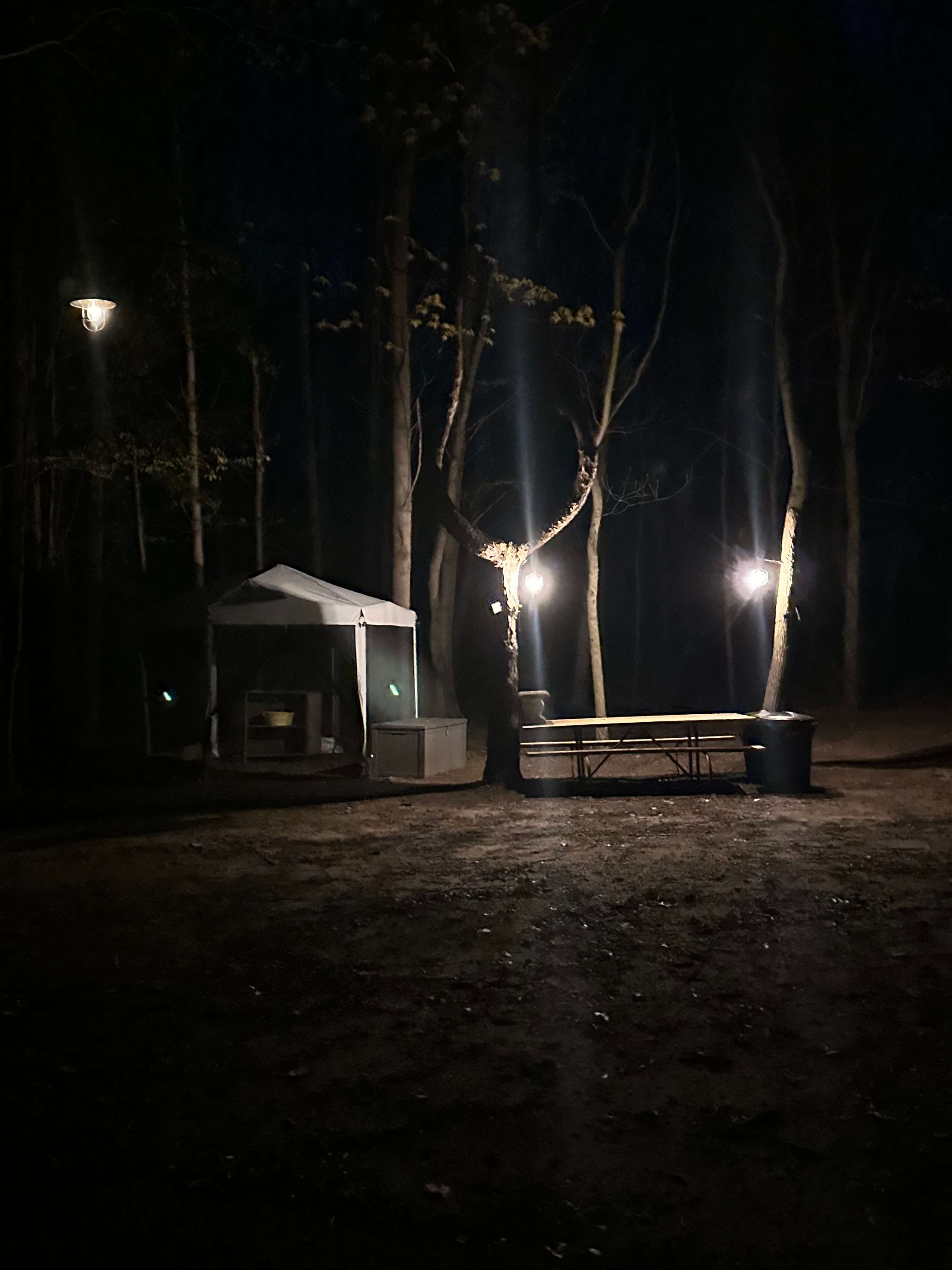 Sugar Shack Disc Golf Campground