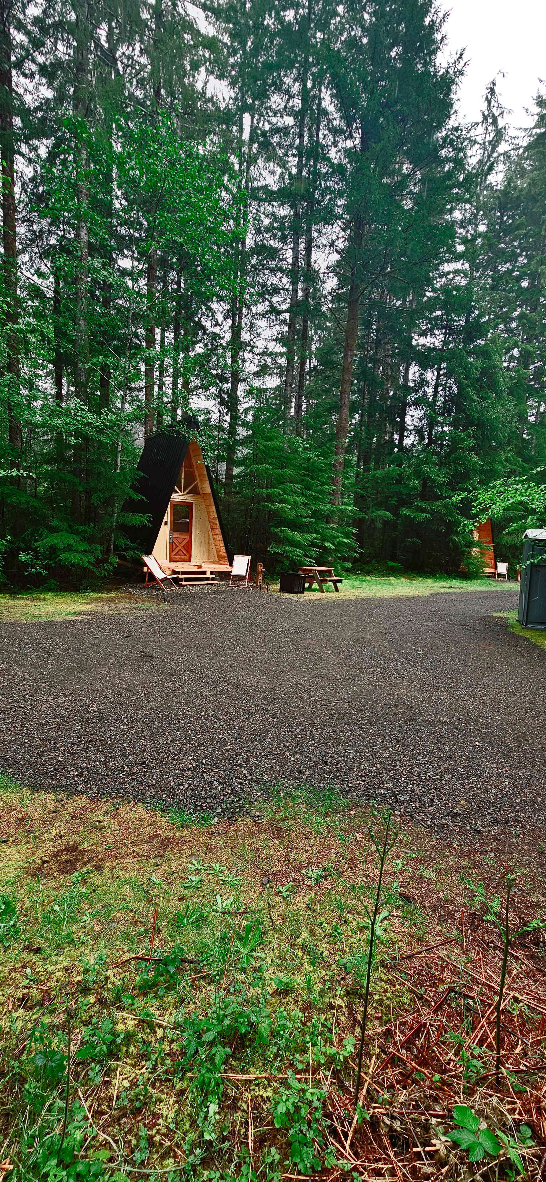In The Pines #1
