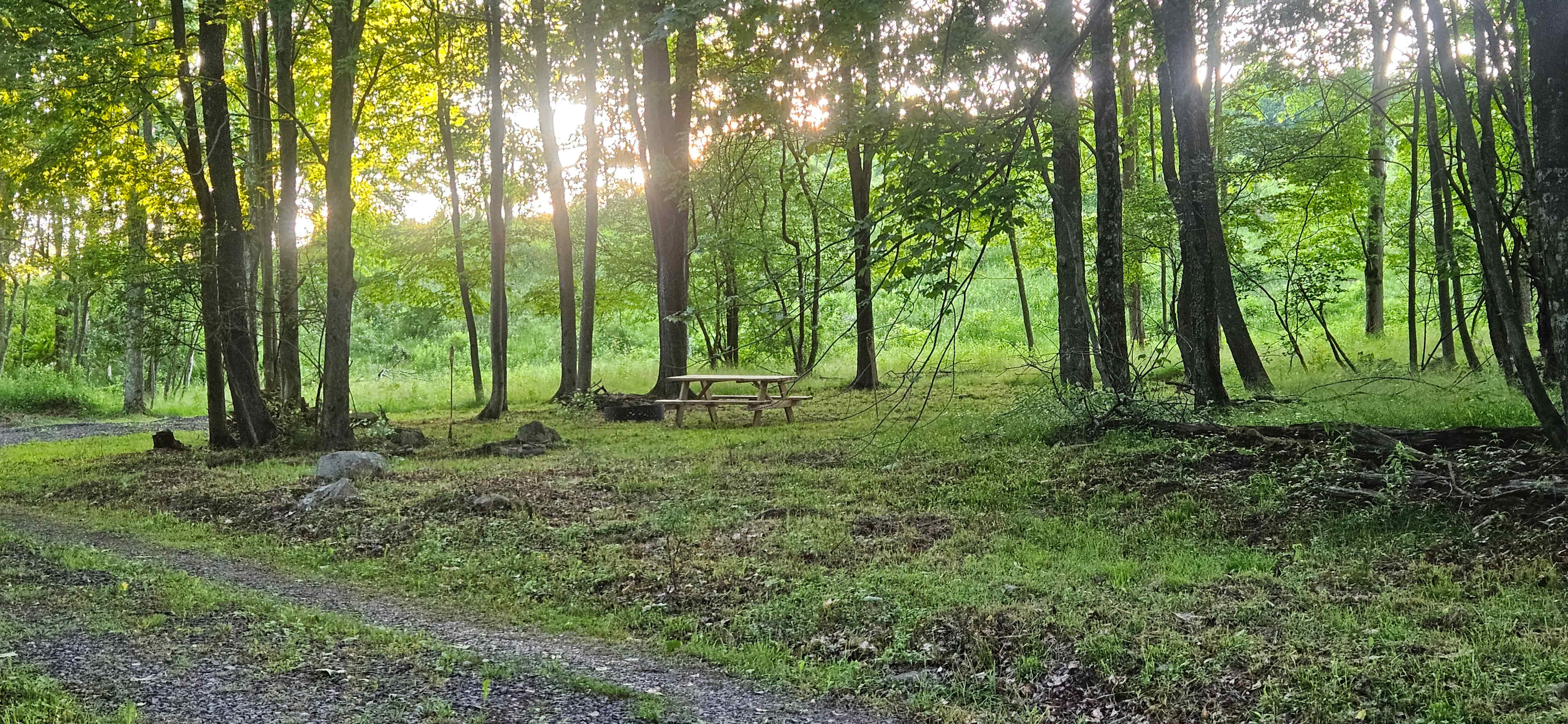 Picture of the site