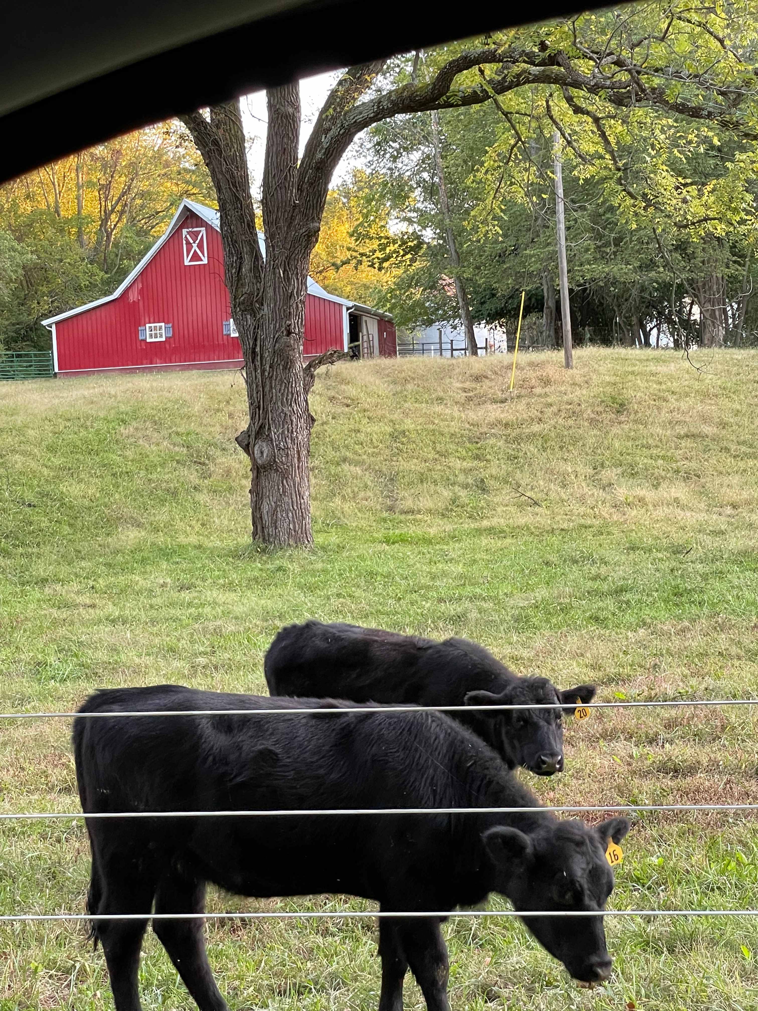 The Farm-ish Camp & Gather Barn
