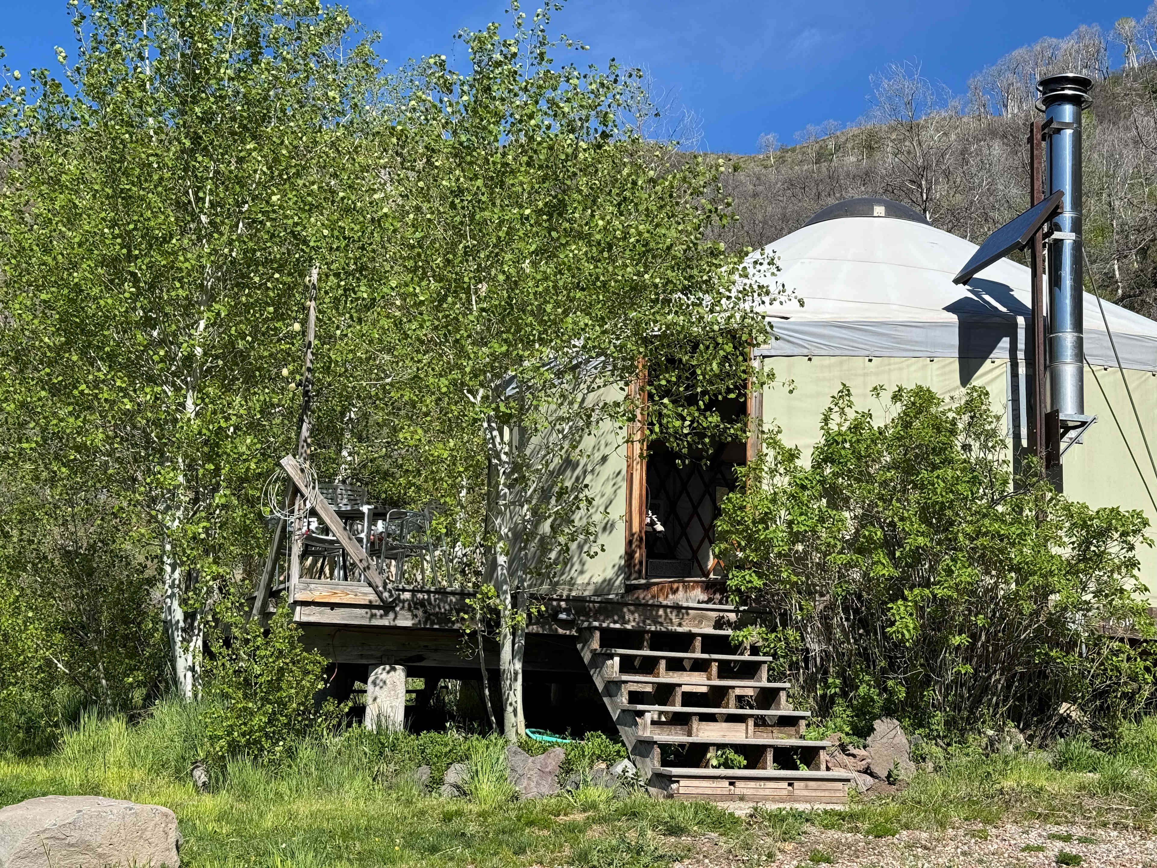 Picture of the site