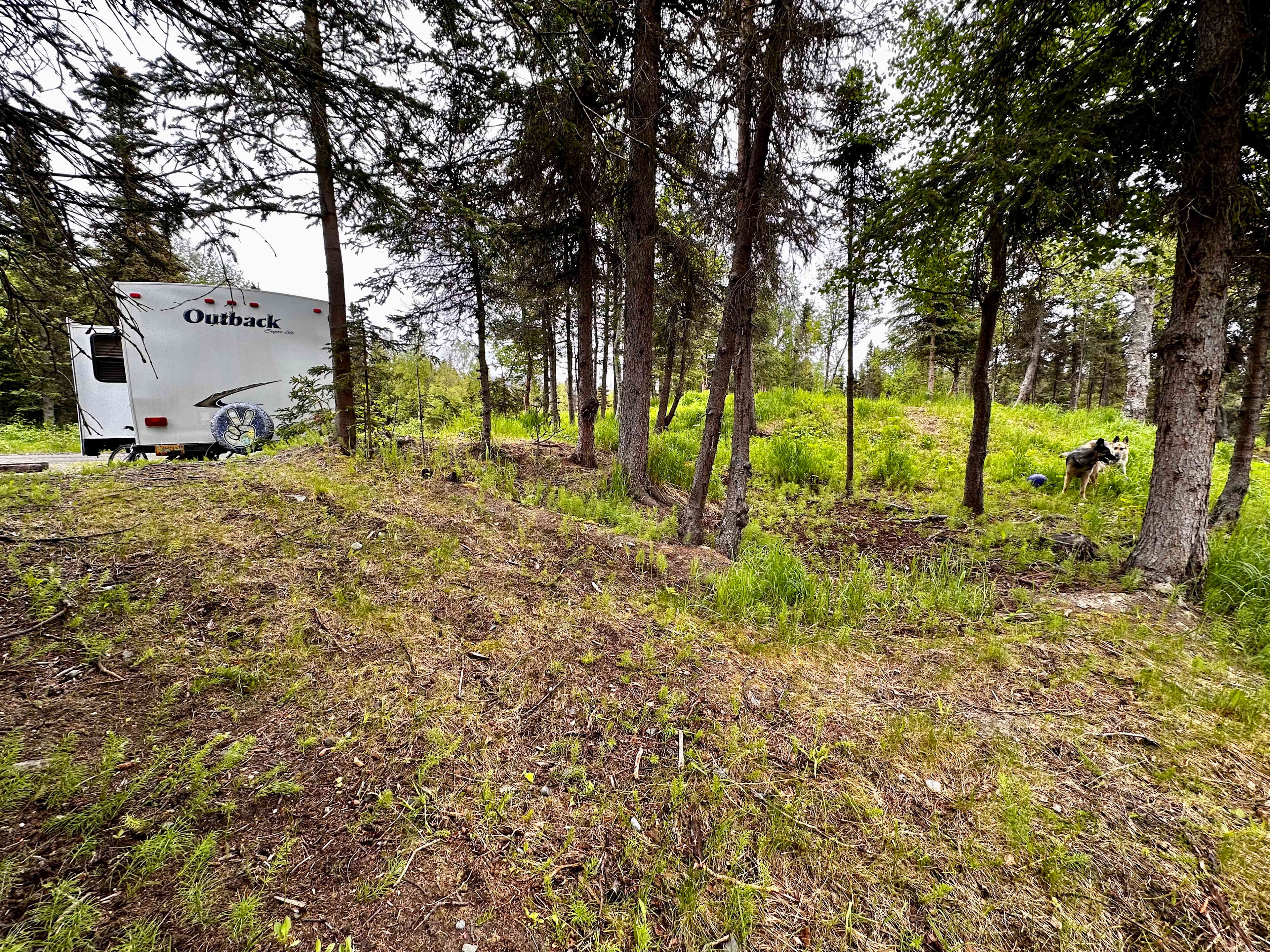 Hideaway Camp (Single Camp Spot!)