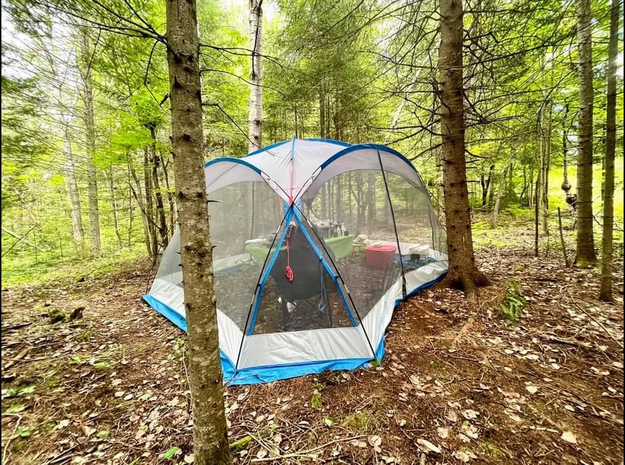 Picture of the site