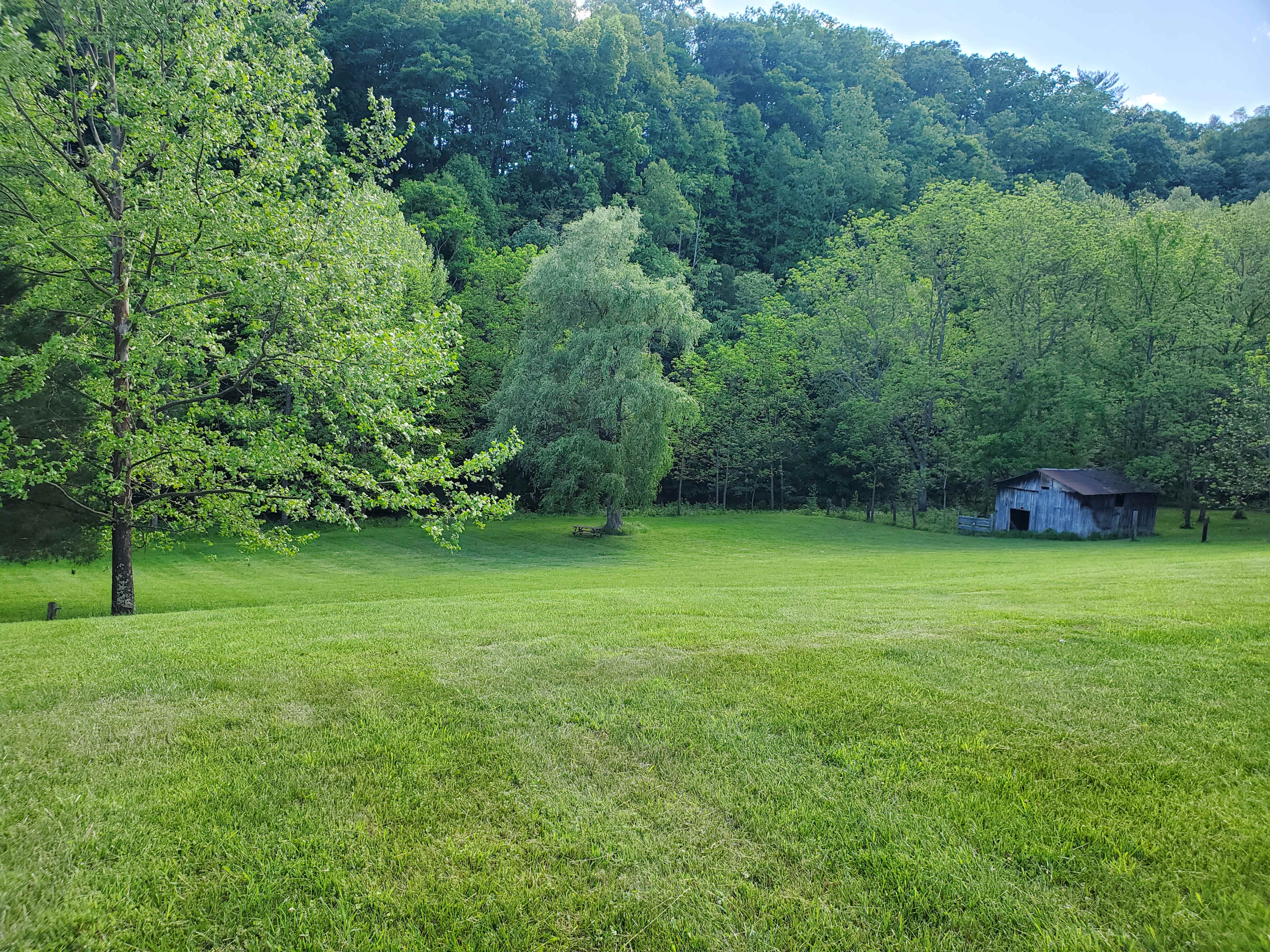View from site.