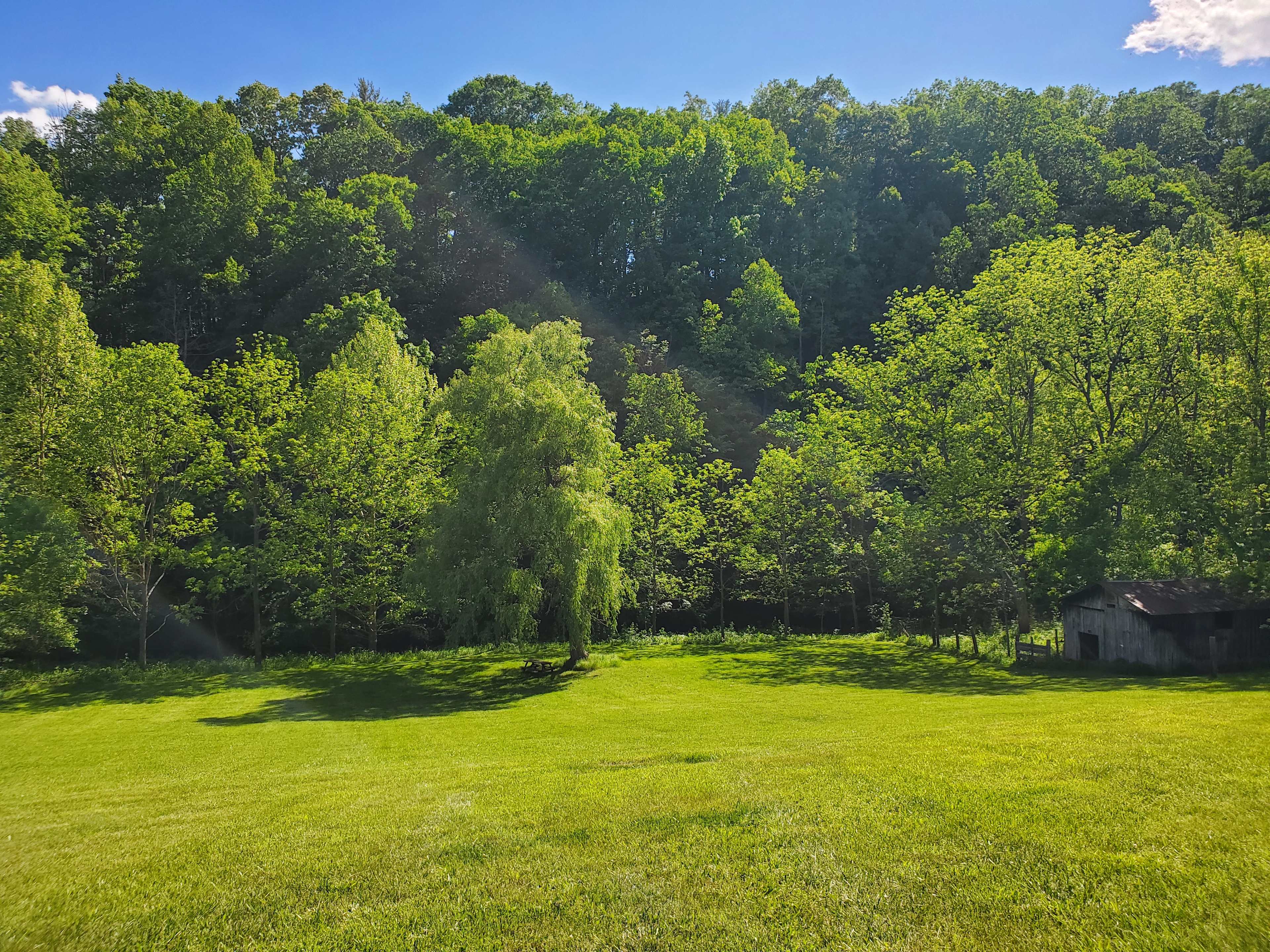Picture of the site