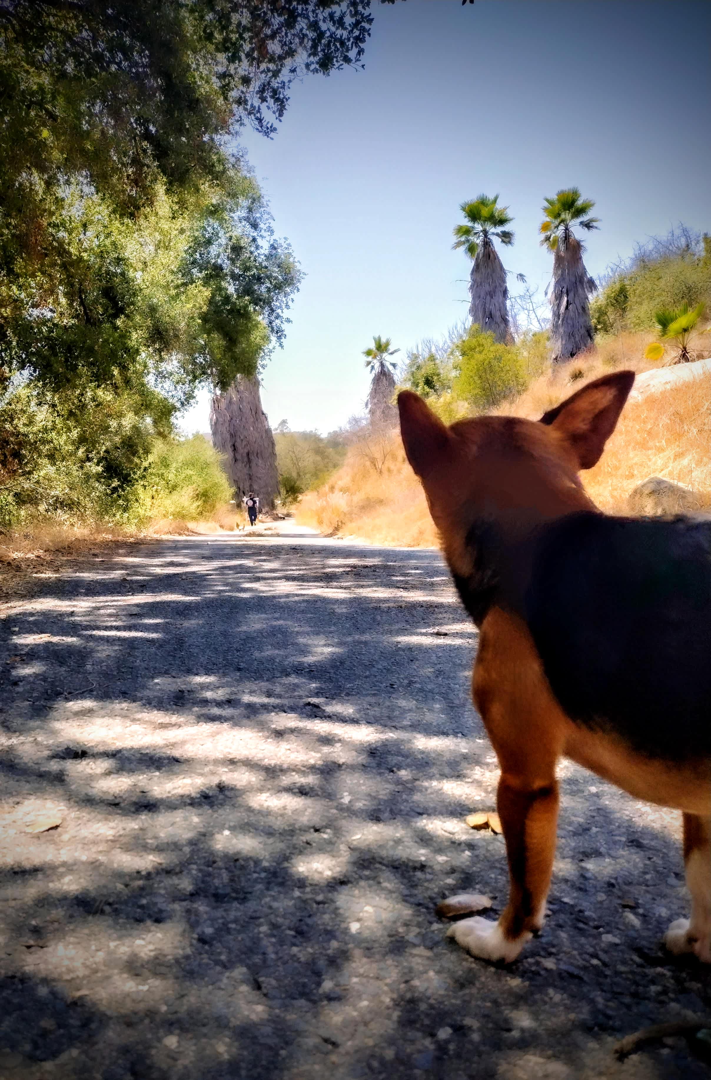 Detour n De Luz Fallbrook San Diego