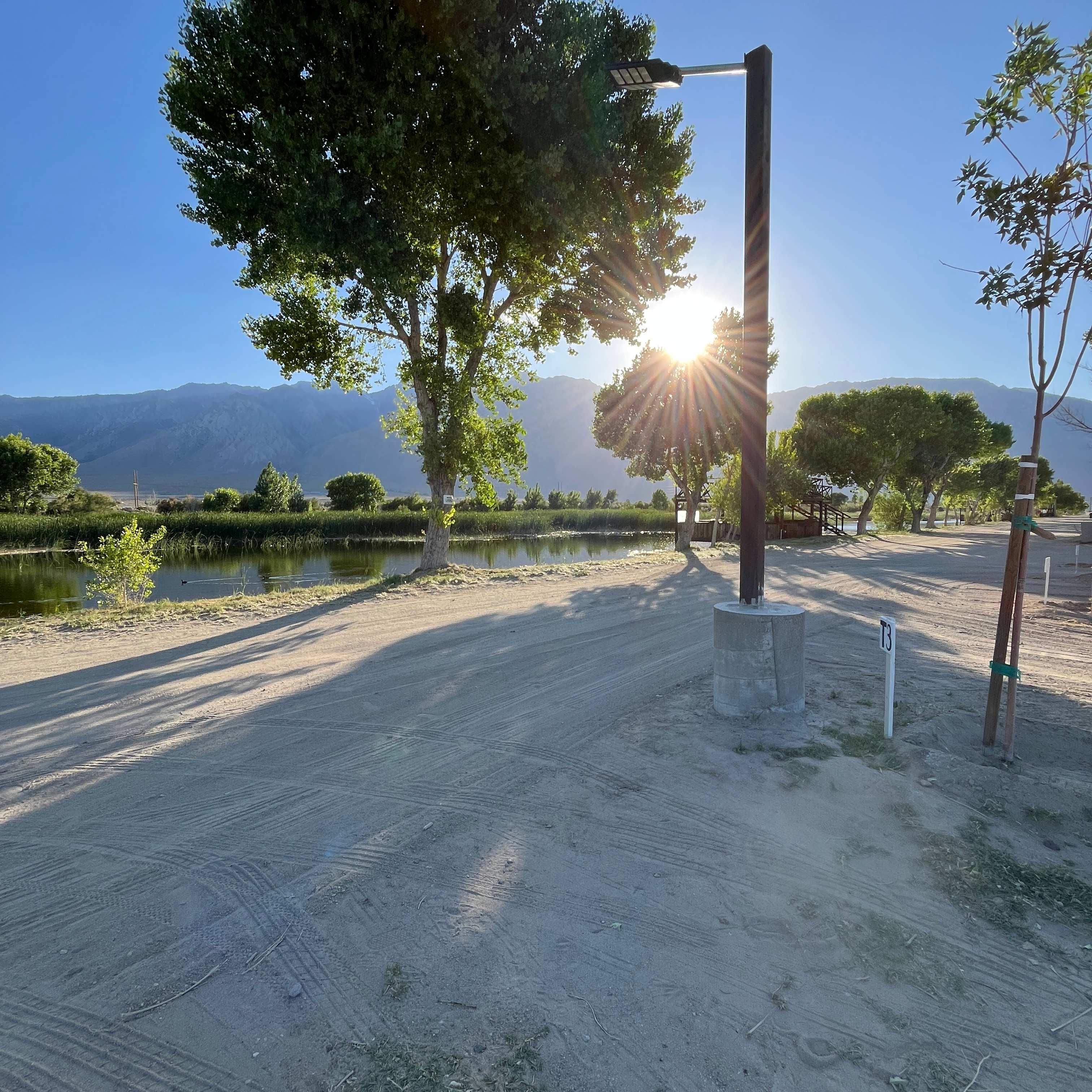 Picture of the site