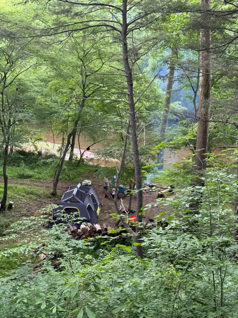 Picture of the site