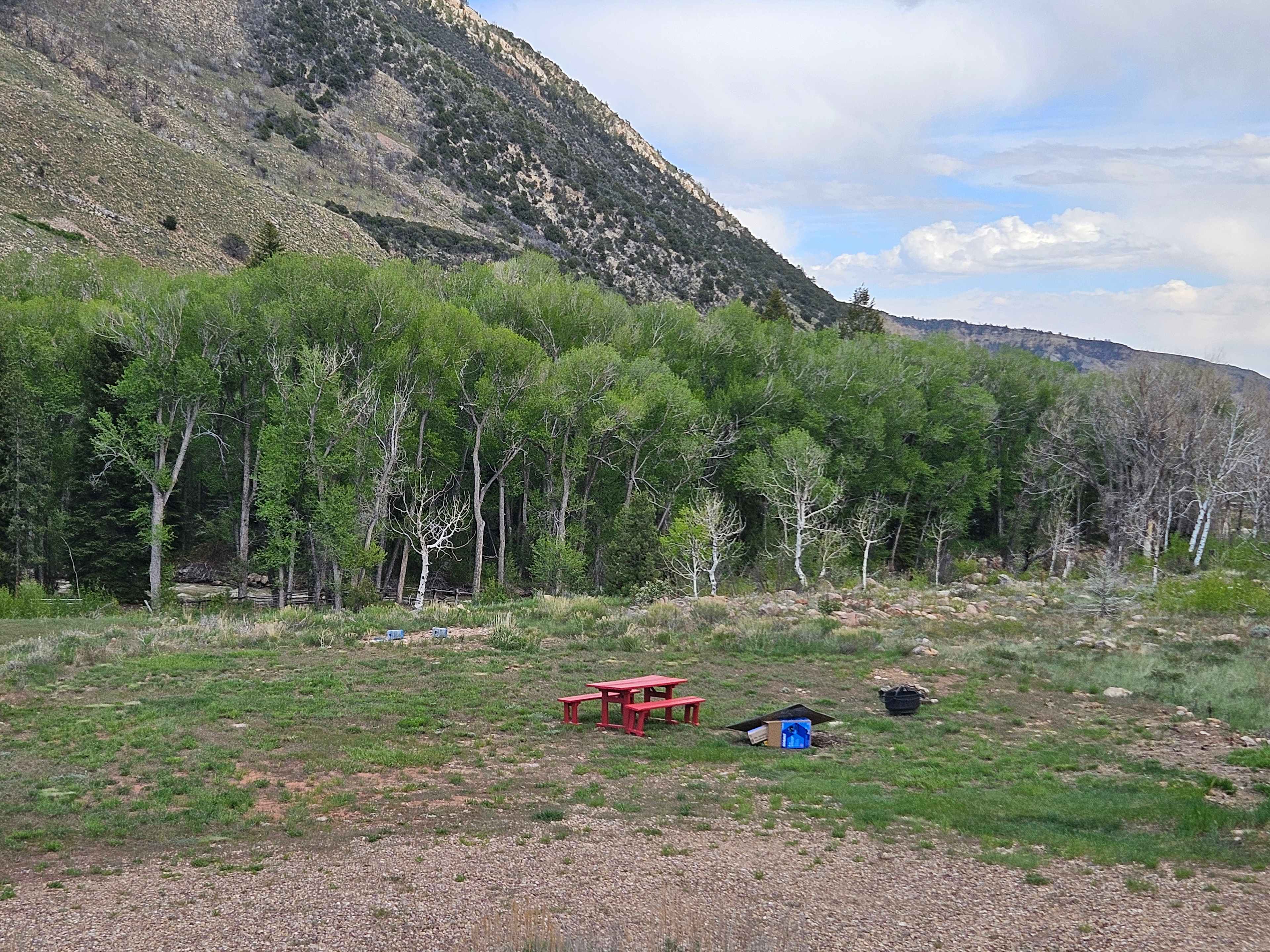 Picture of the site