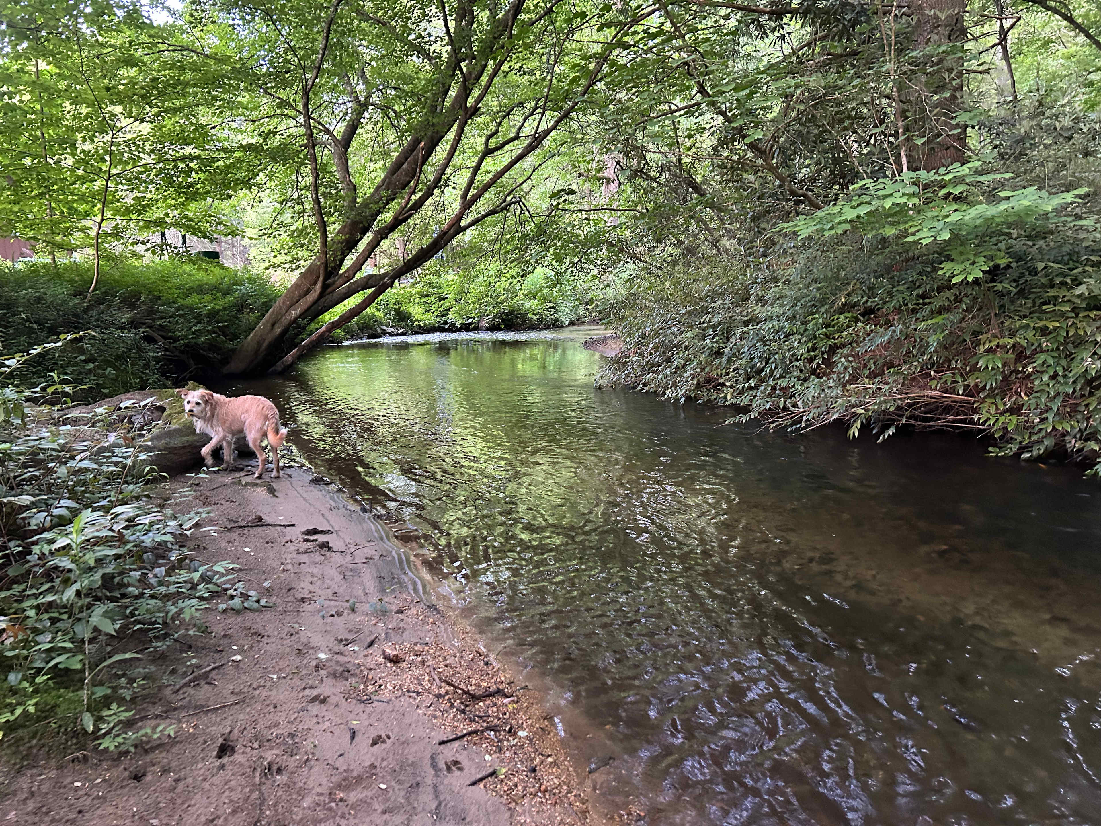 Little River Hideaway