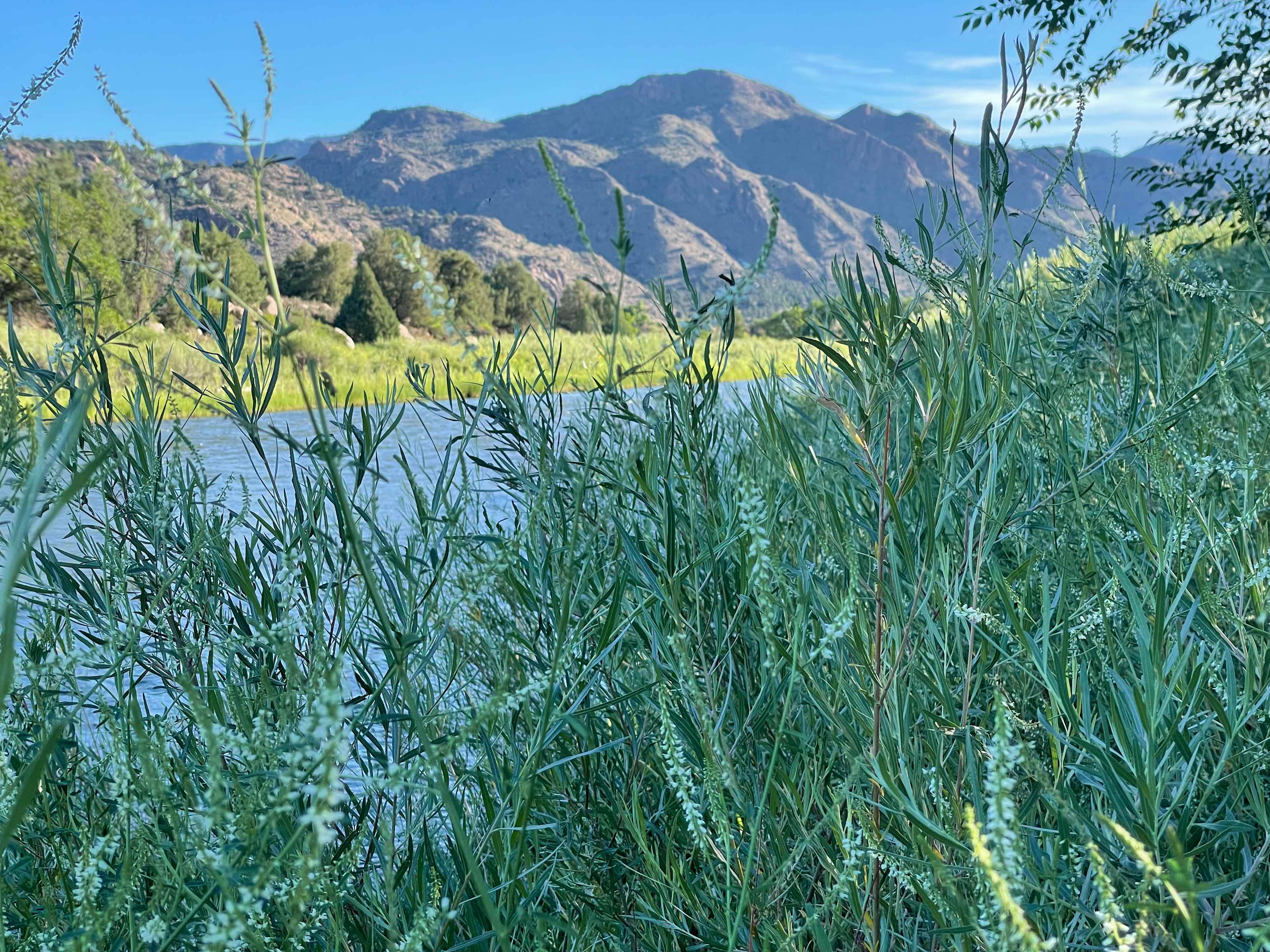 Explore the banks of the Arkansas River at Sweetwater - we have beavers in front of the House, otter sightings, eagles, osprey & tons of hummingbirds