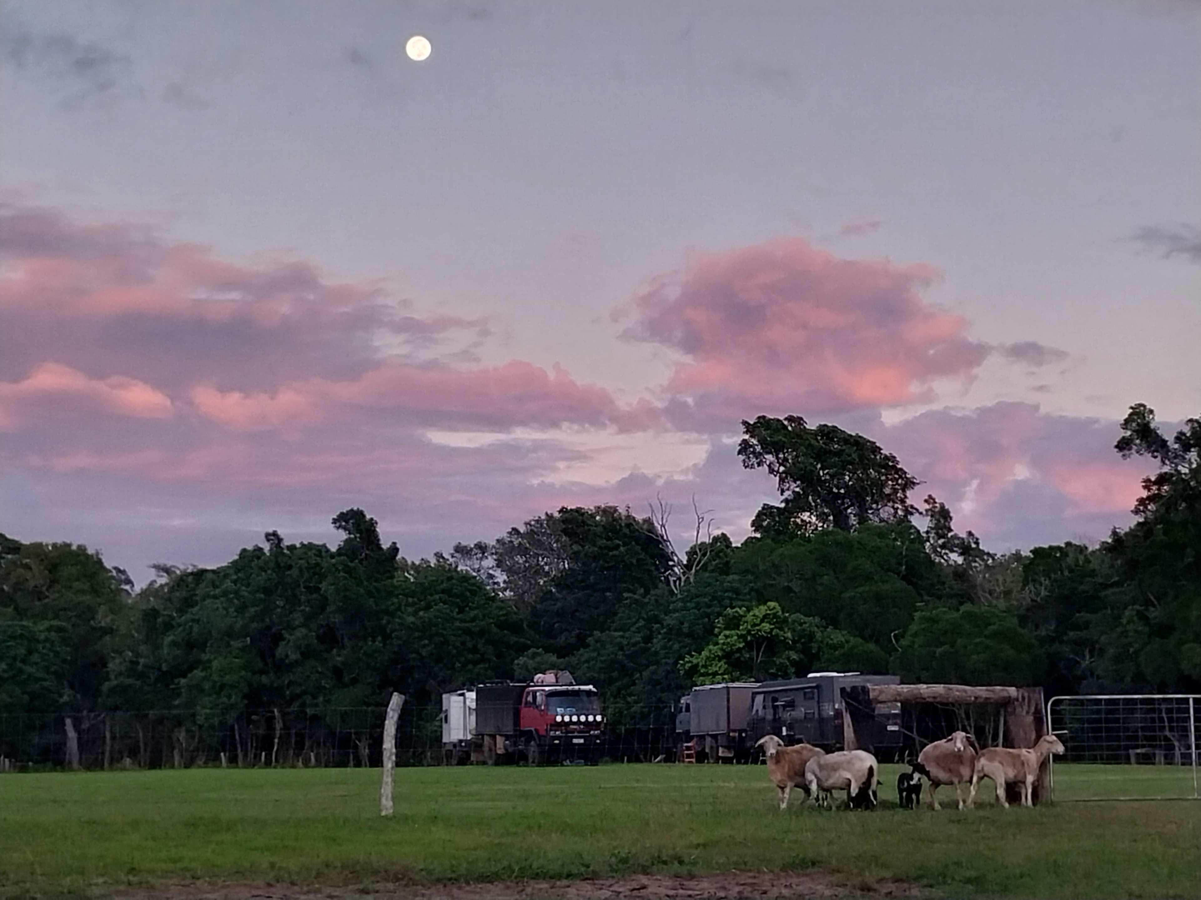 Plenty of room for big rigs, and sheep under the morning sunrises.