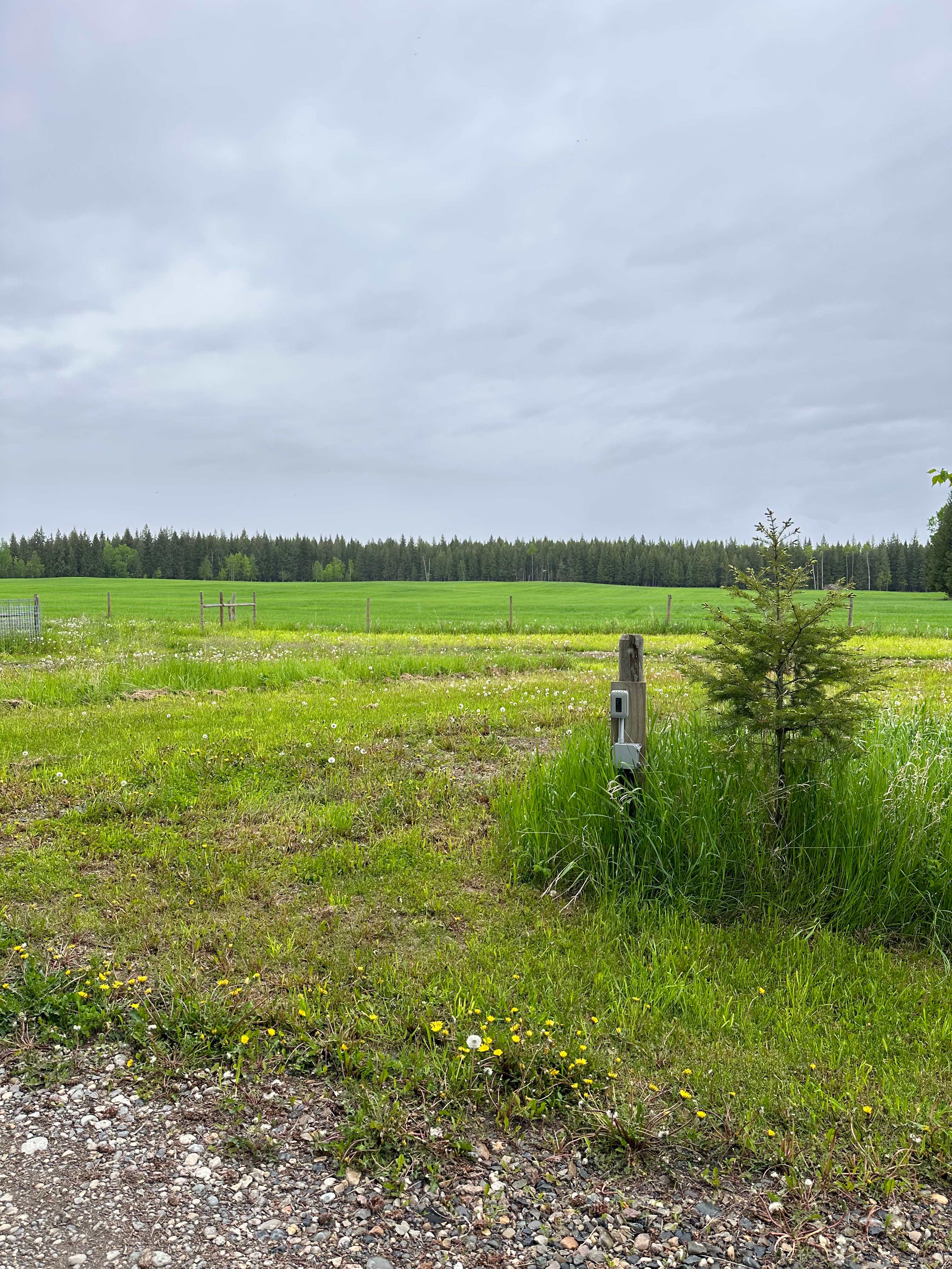 The August Place