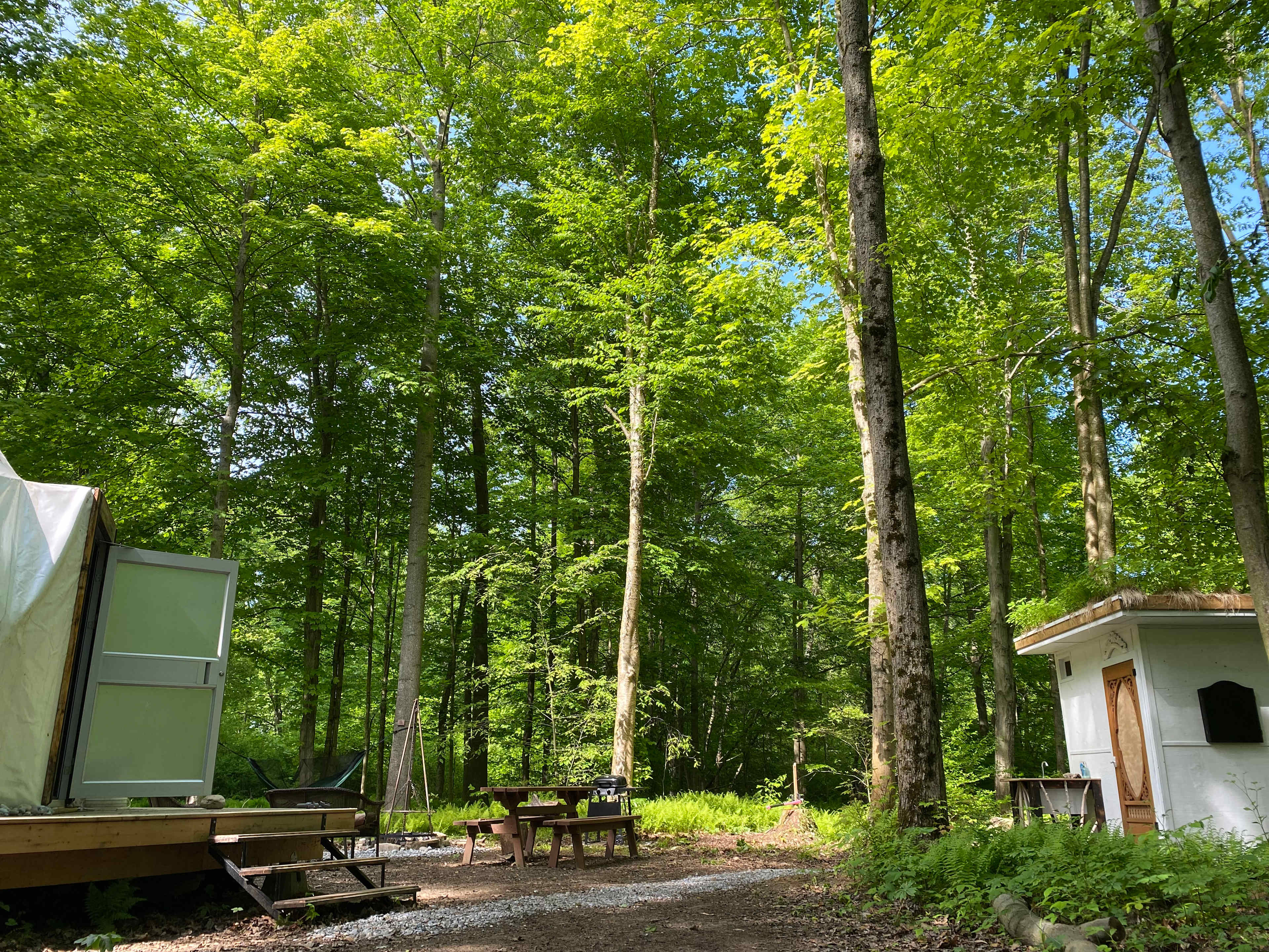 Picture of the site