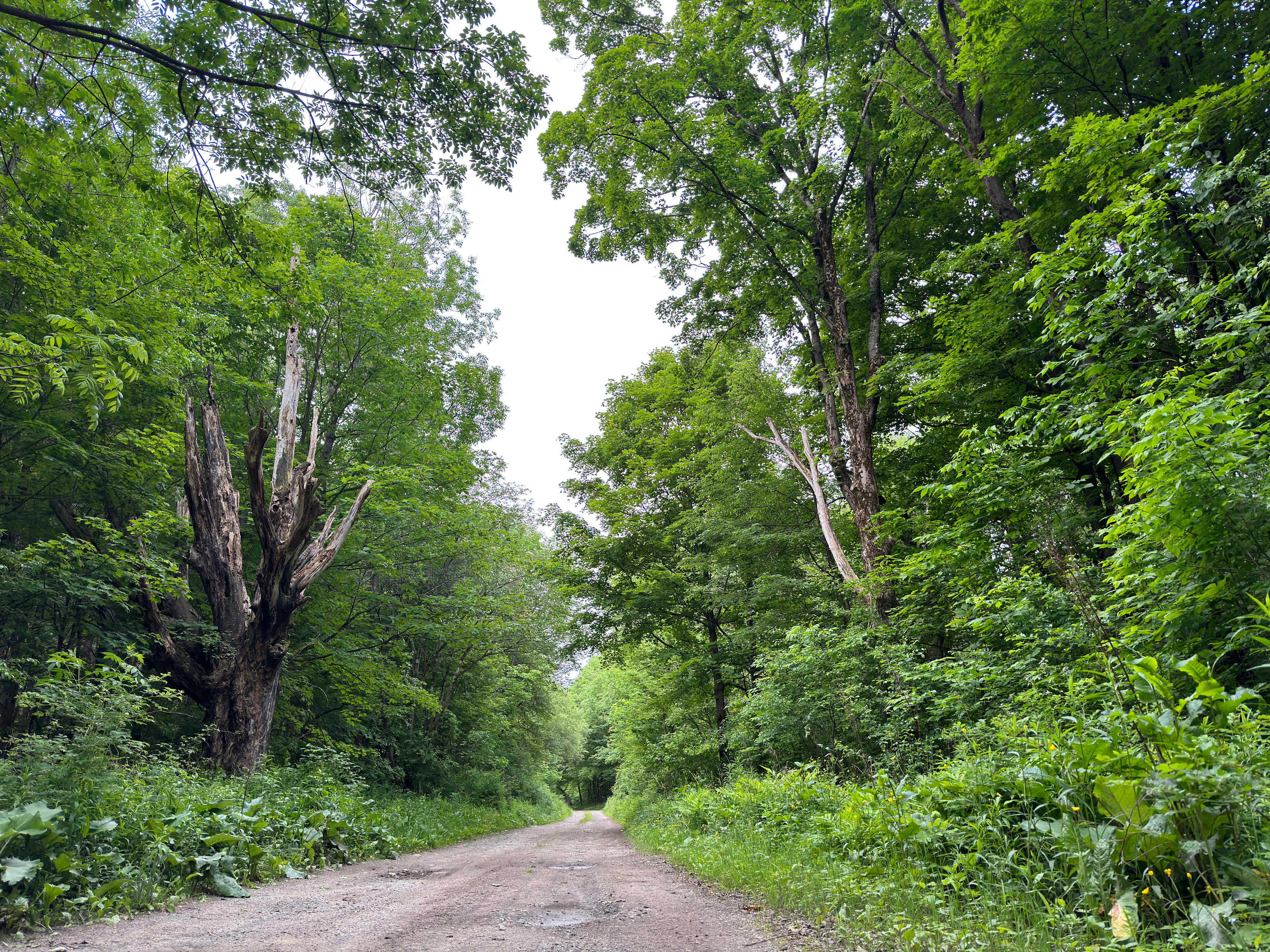Cabin at Eagle Ridge at South End