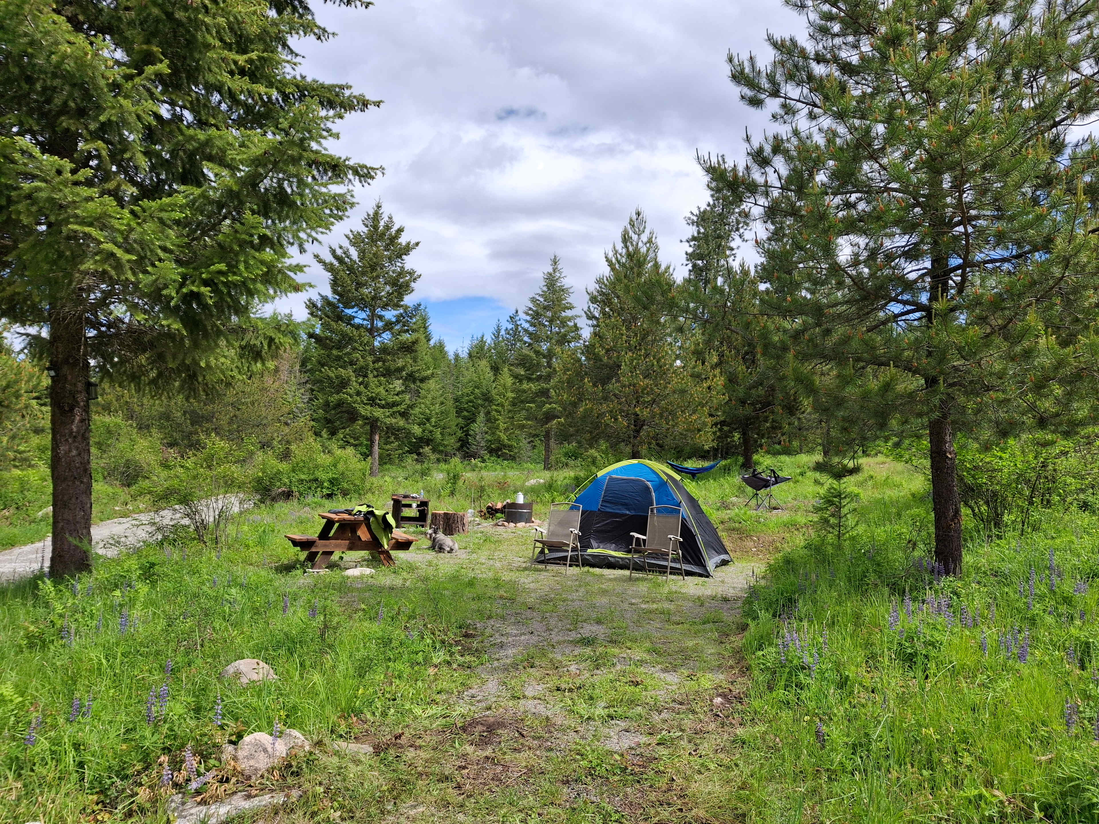 Careywood Hollow campsite.