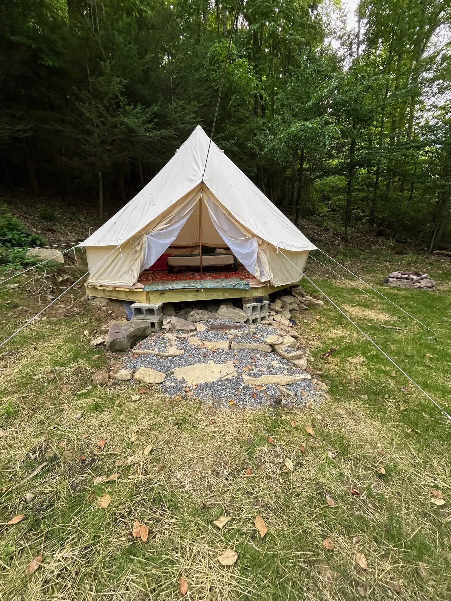 Picture of the site