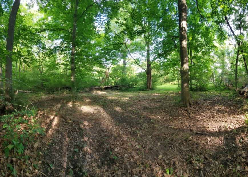 SITE #2 "Dogwood in the Orchard": 3-5 Tent Capacity. Firepit will be added, but not in this photo.