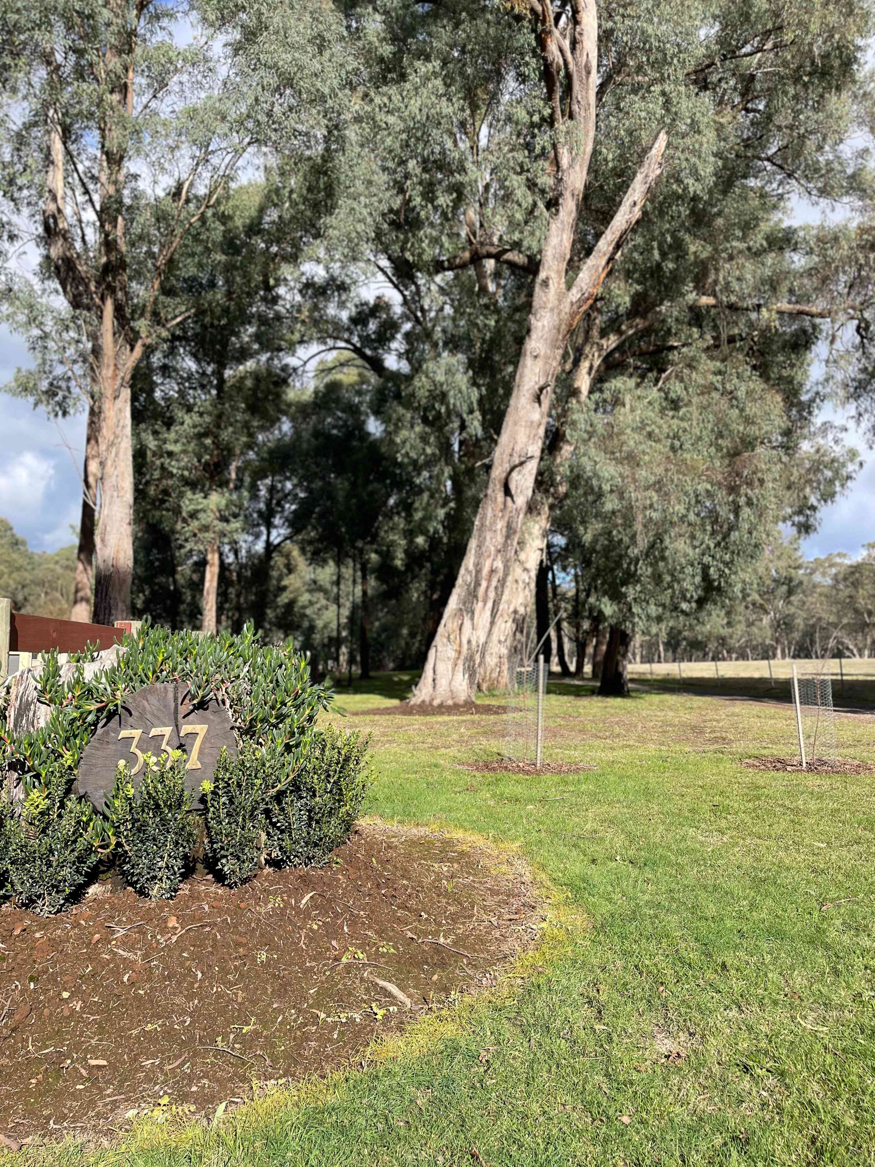 Picture of the site