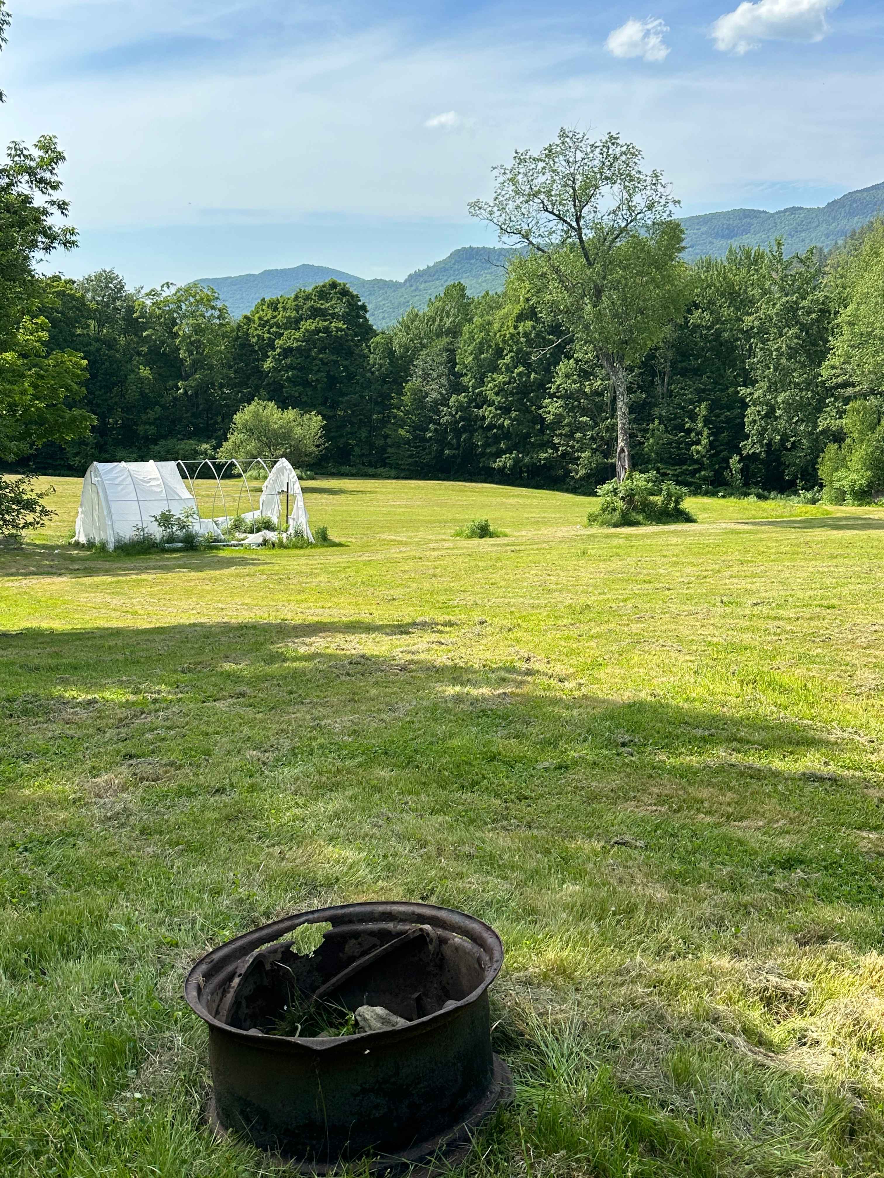 Stargaze Over Camels Hump