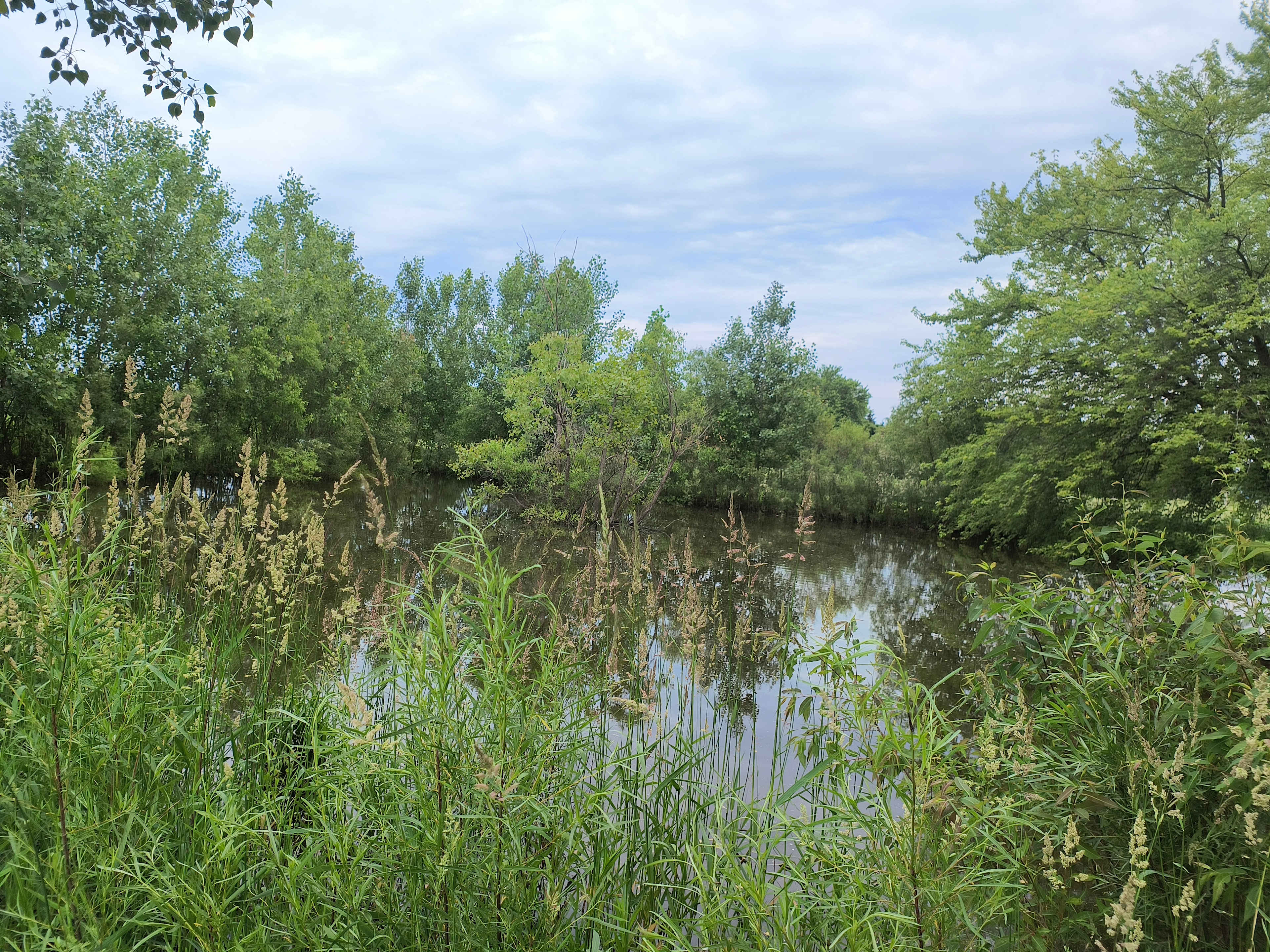 Picture of the site