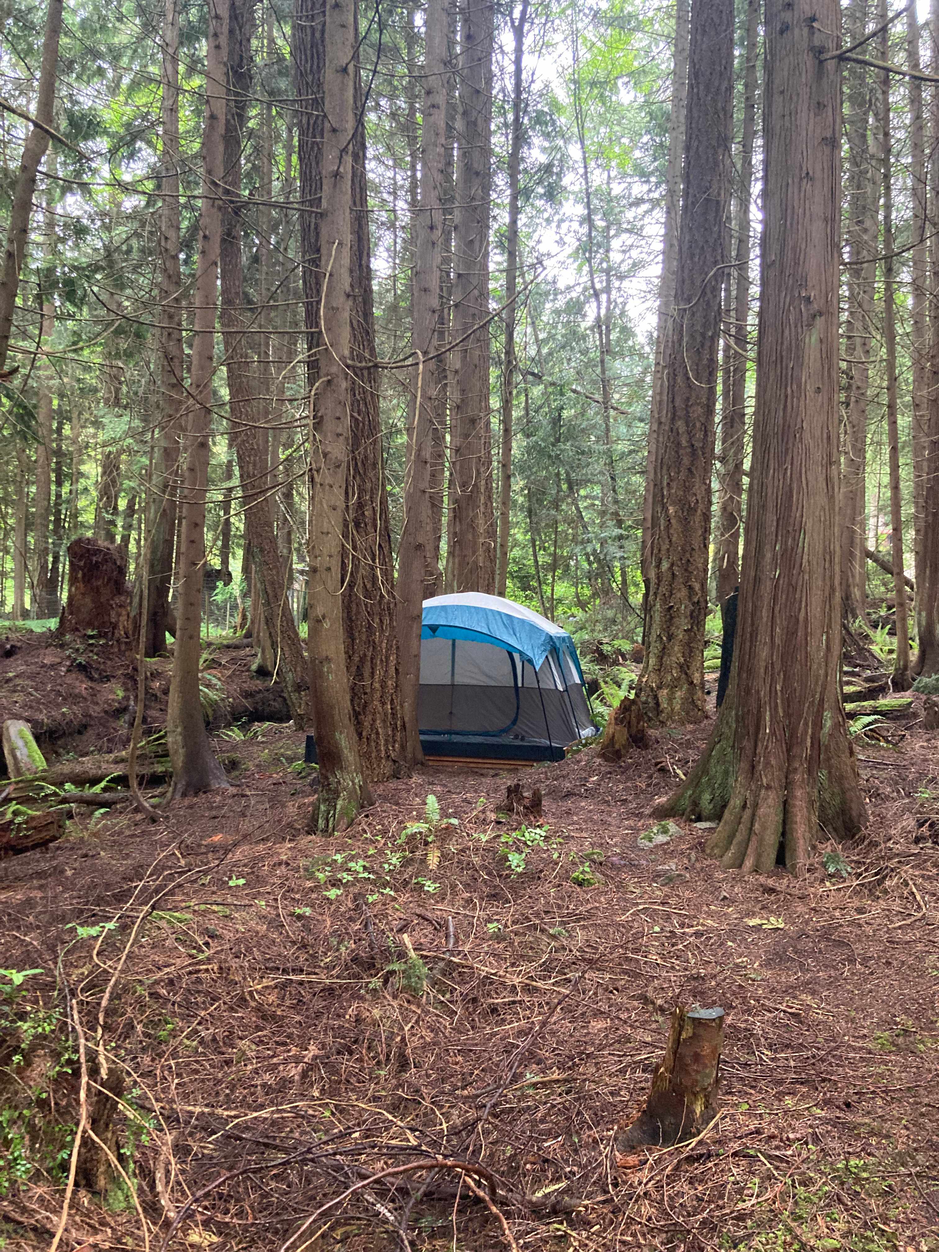 Sleep By The Creek