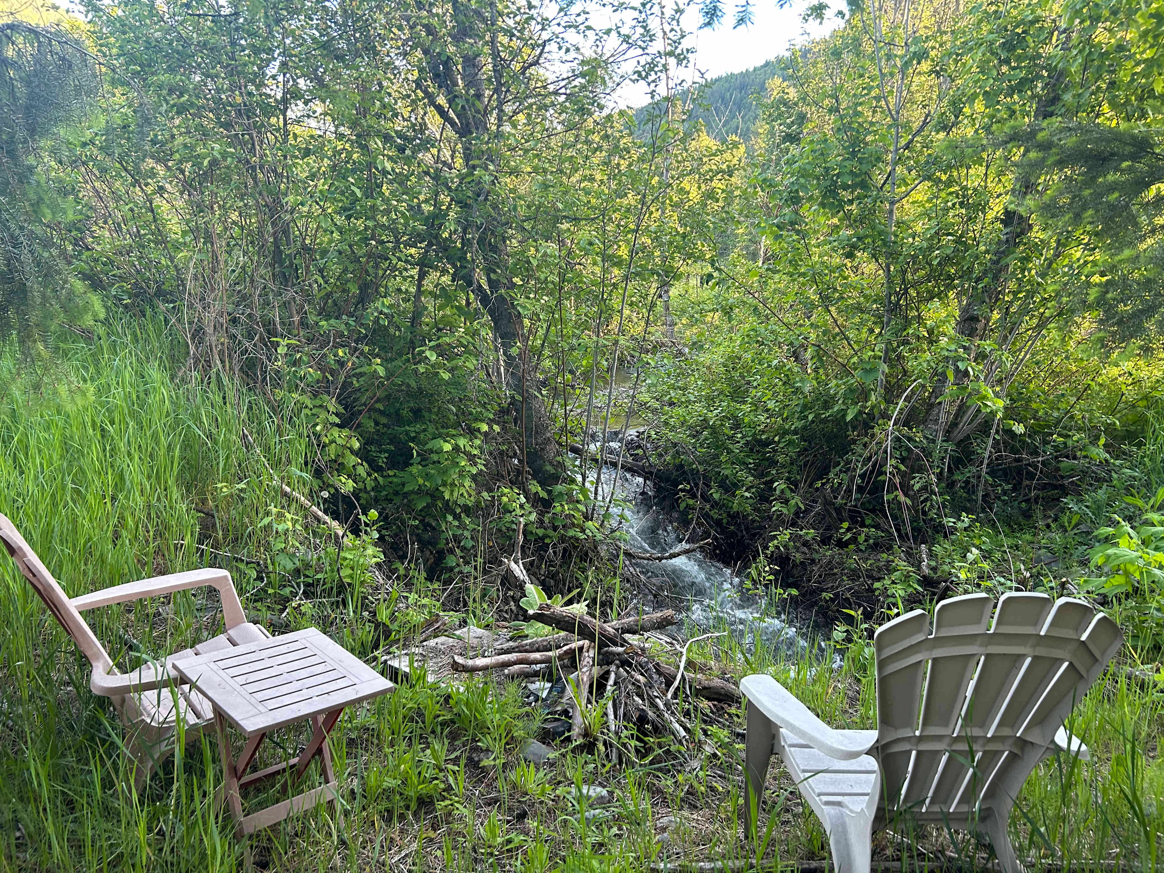Mountain Creekside Nature Escape