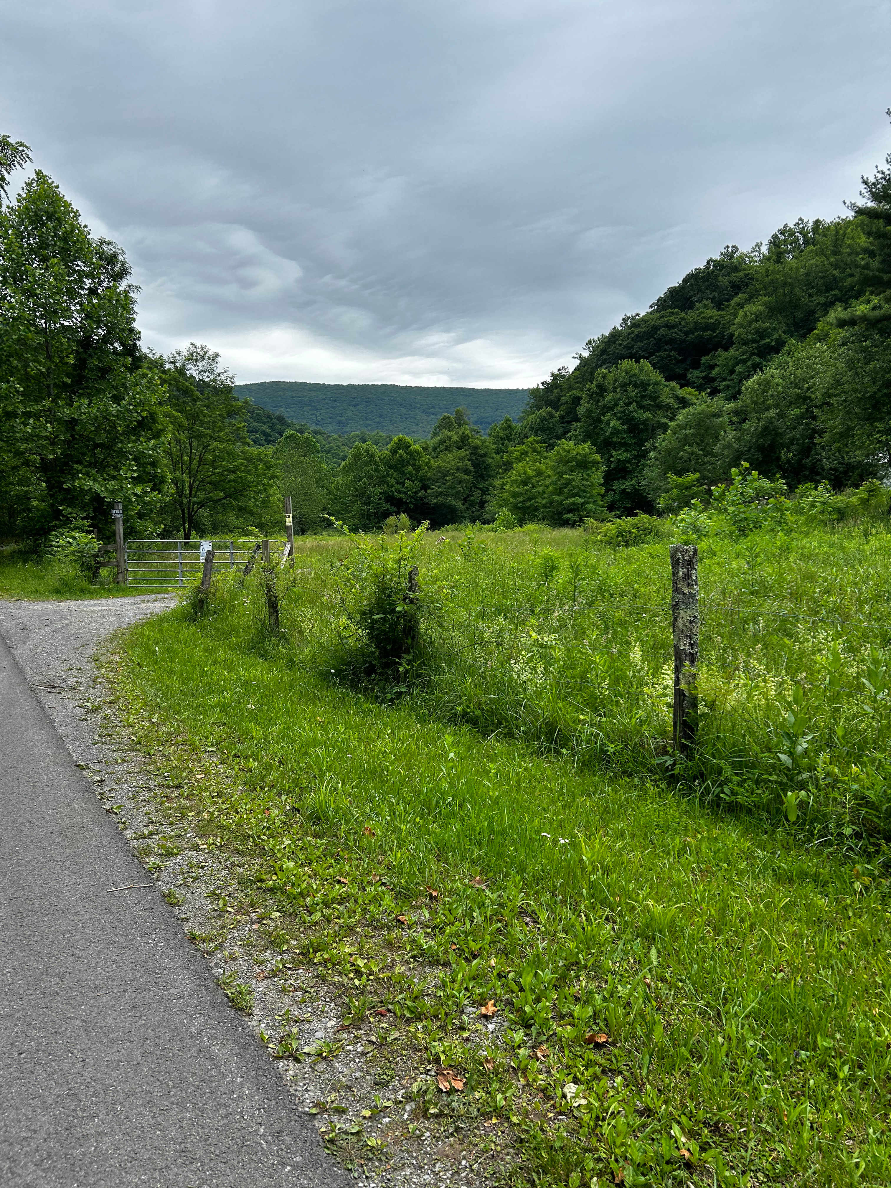 Picture of the site