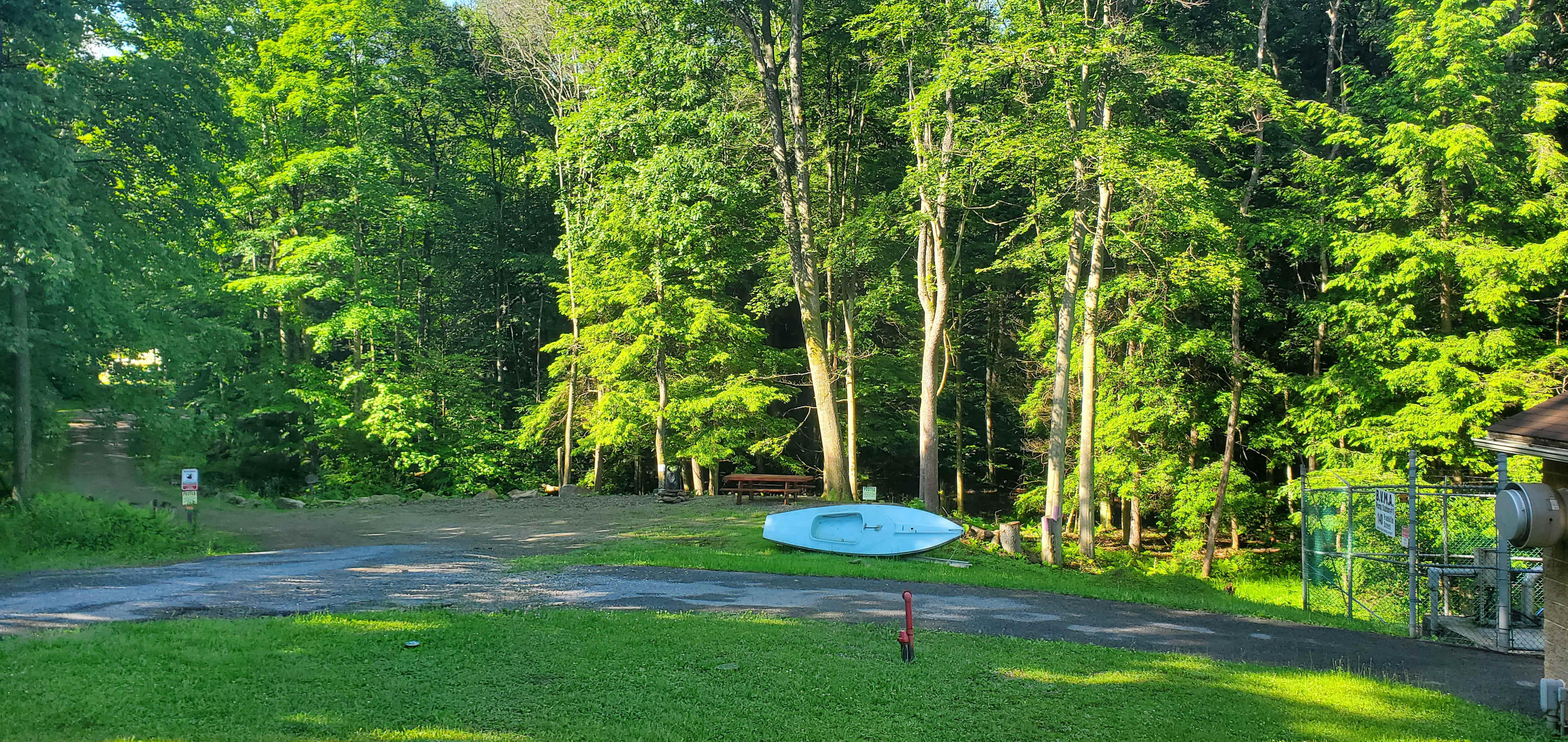 Picture of the site