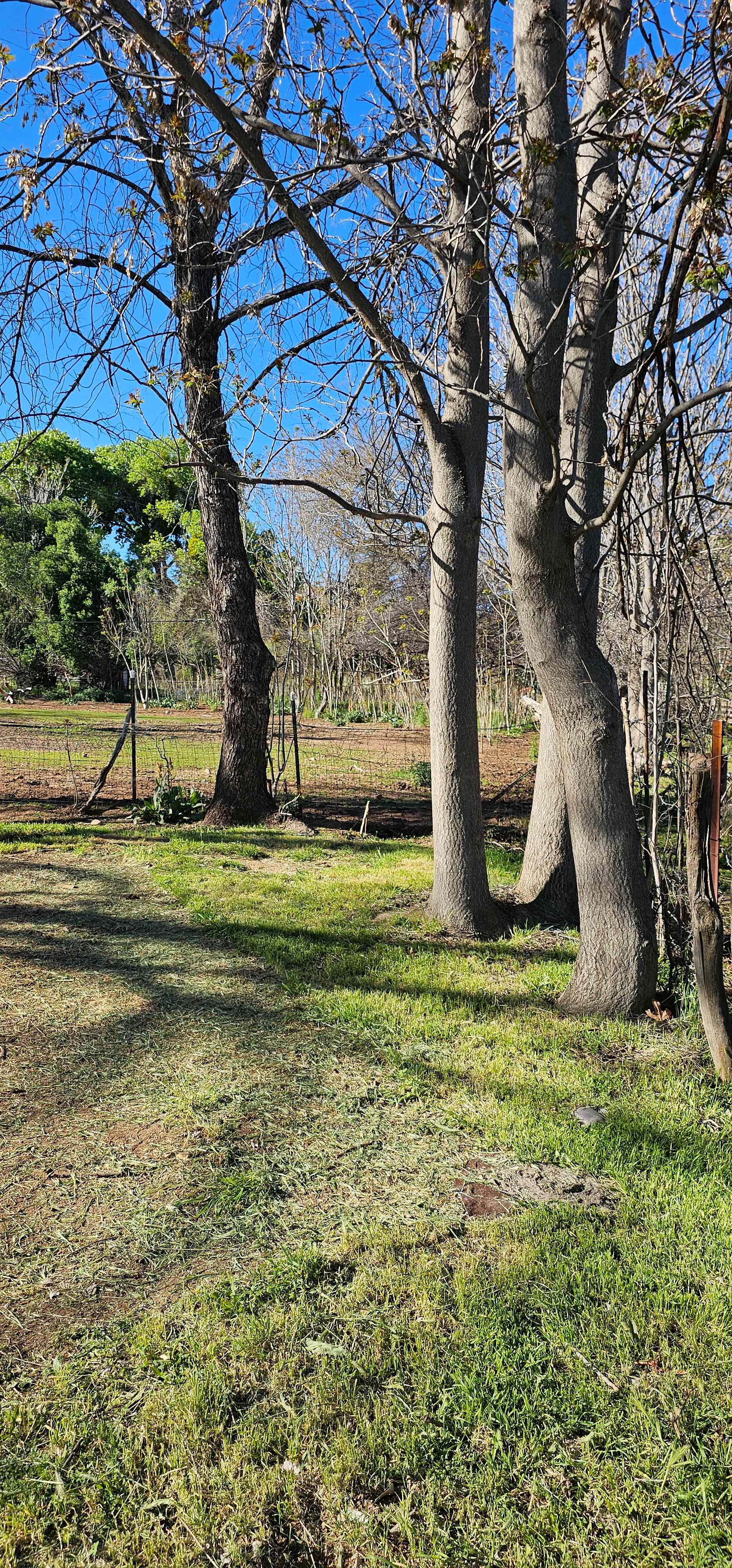 Tent Camp at Tuck & Bird Ranch