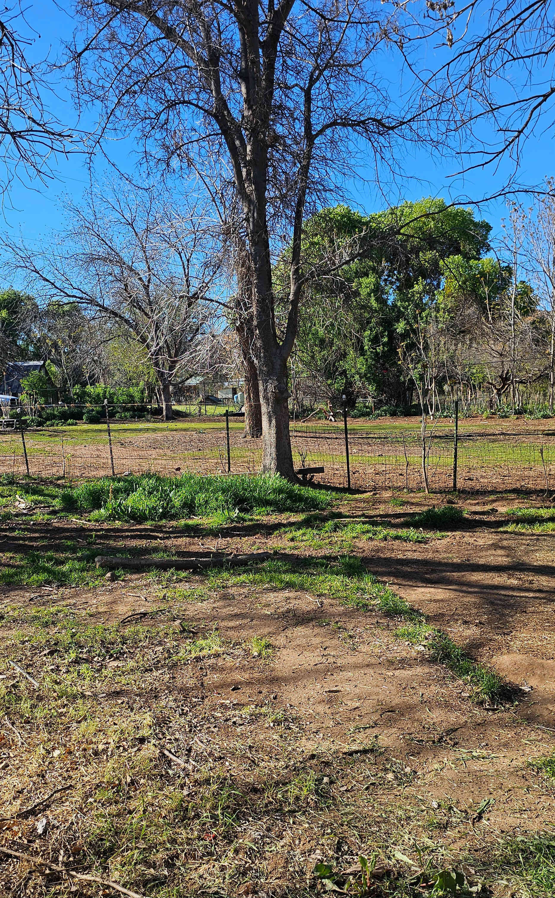 Tent Camp at Tuck & Bird Ranch
