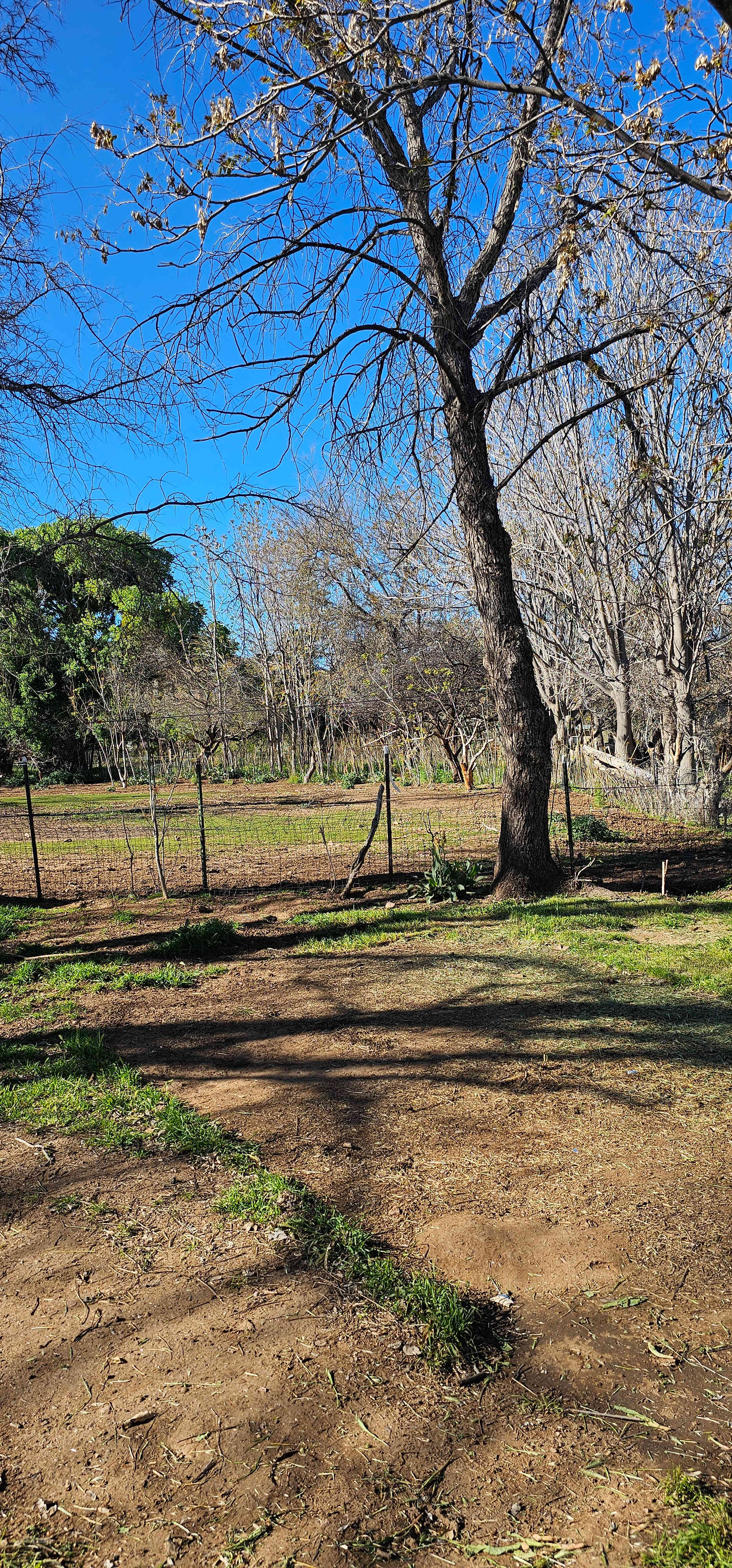 Tent Camp at Tuck & Bird Ranch