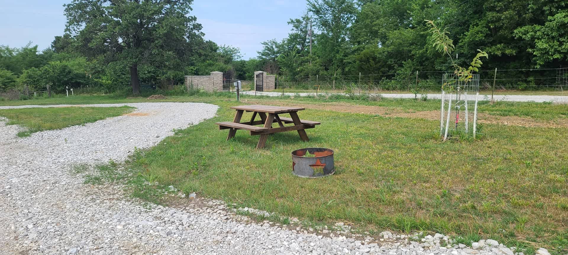 Picture of the site