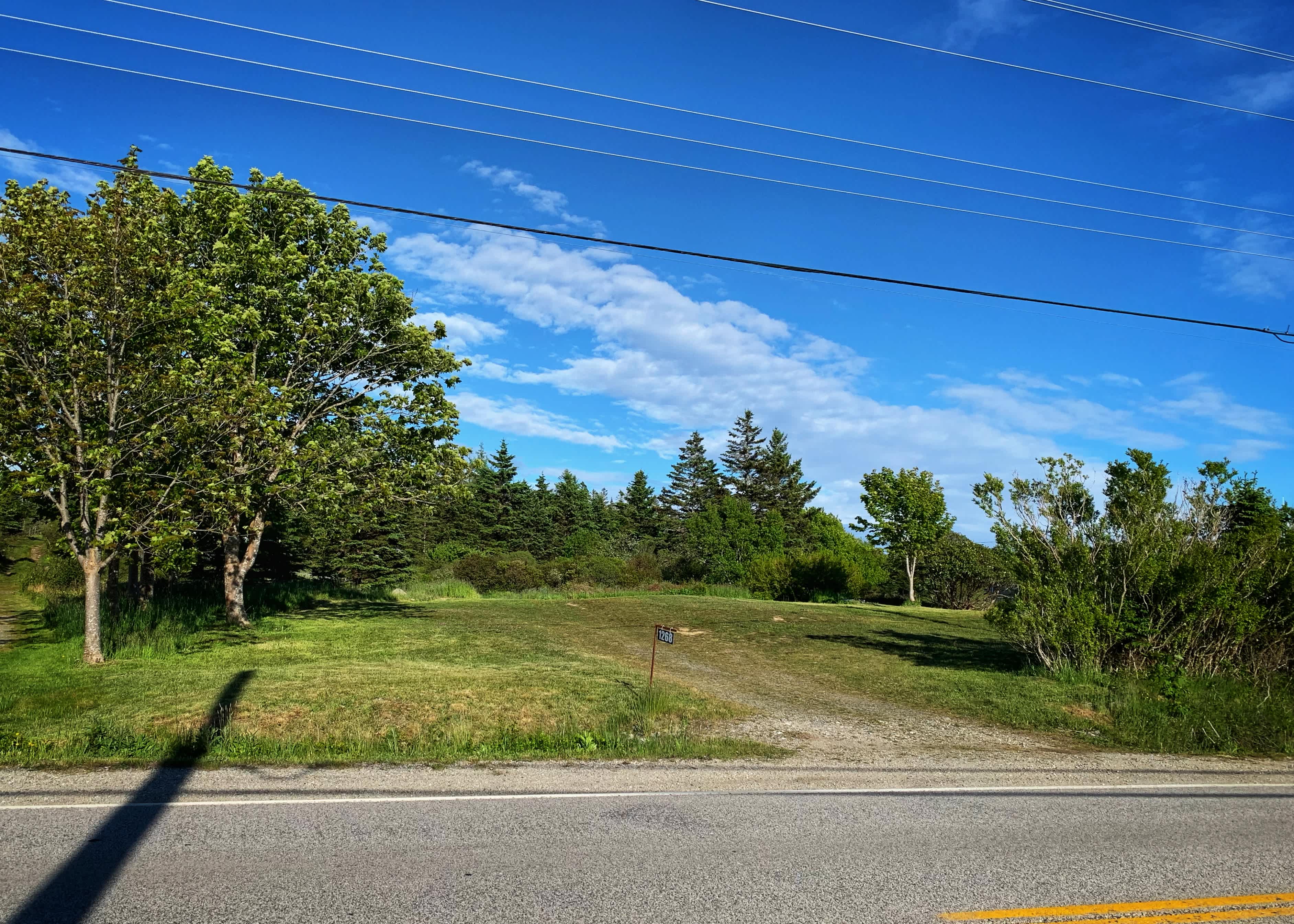 Picture of the site