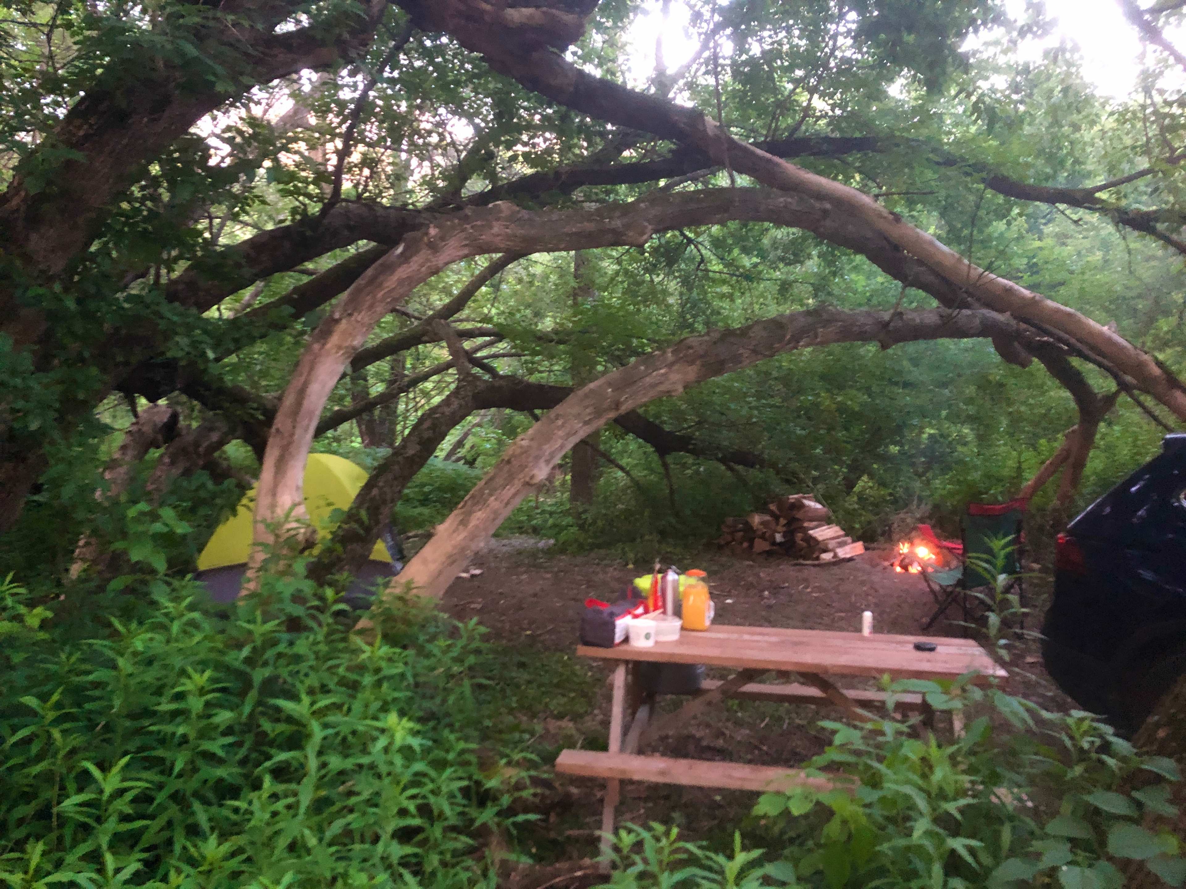 Picture of the site
