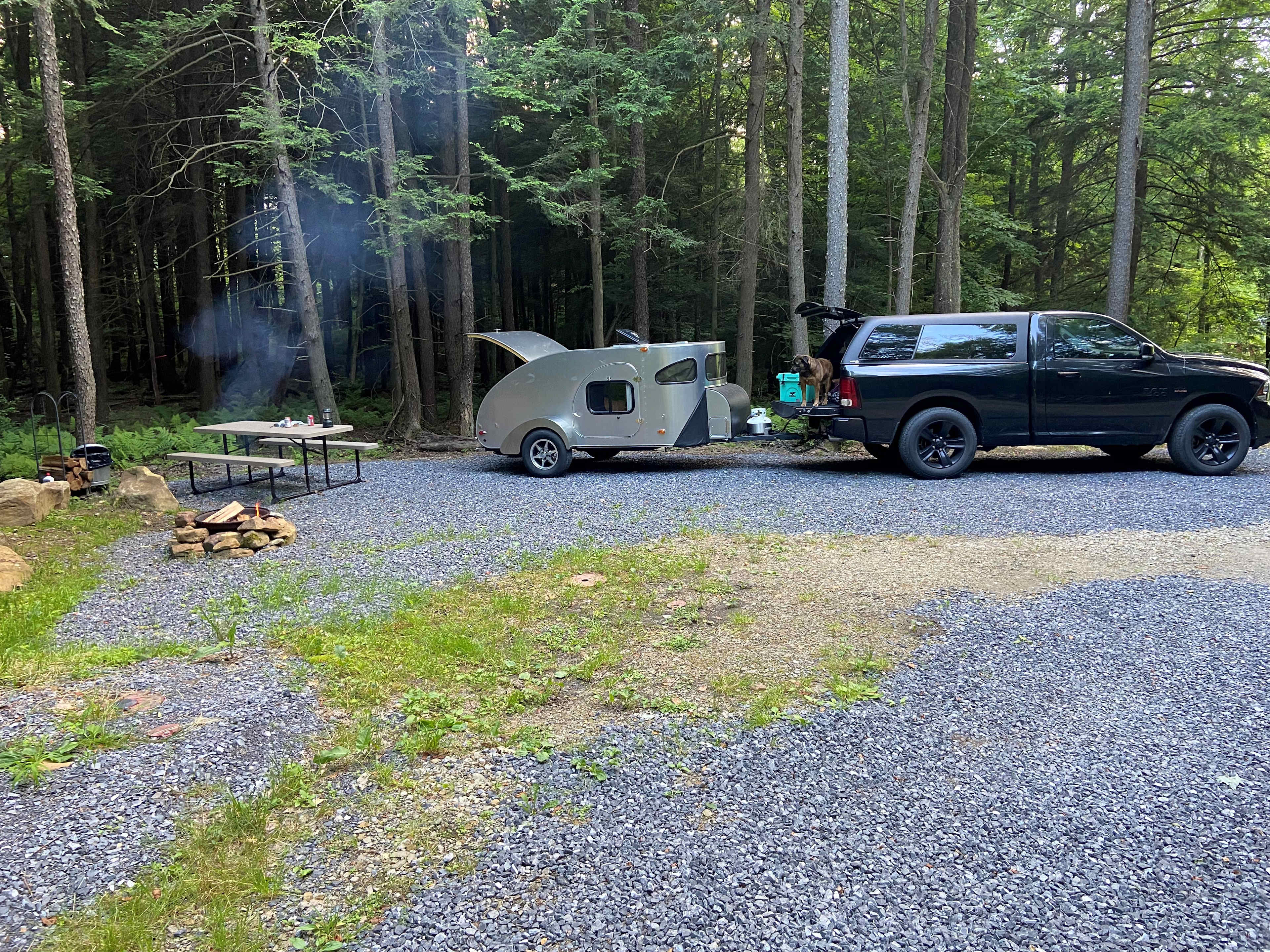 Picture of the site