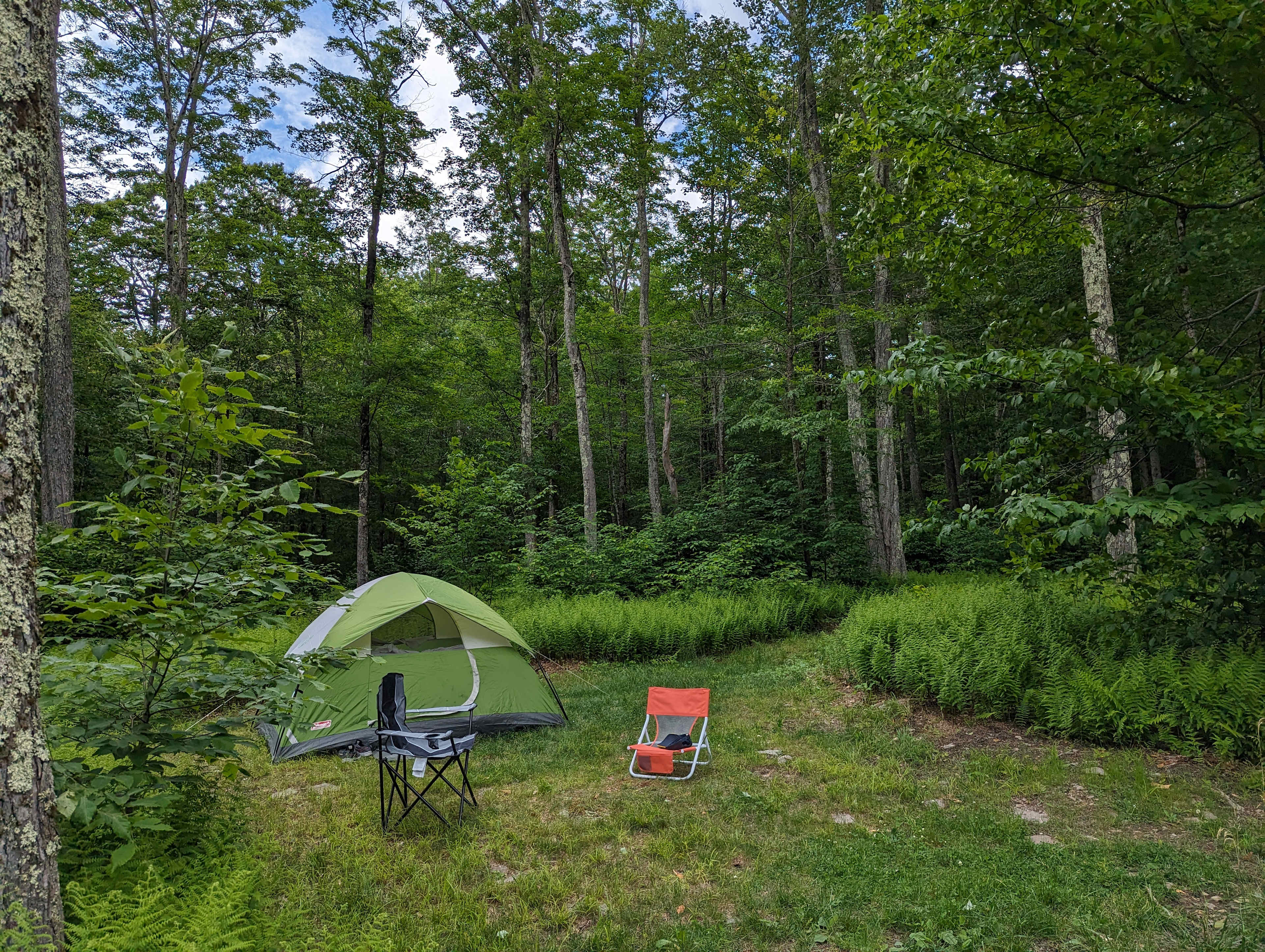 Picture of the site