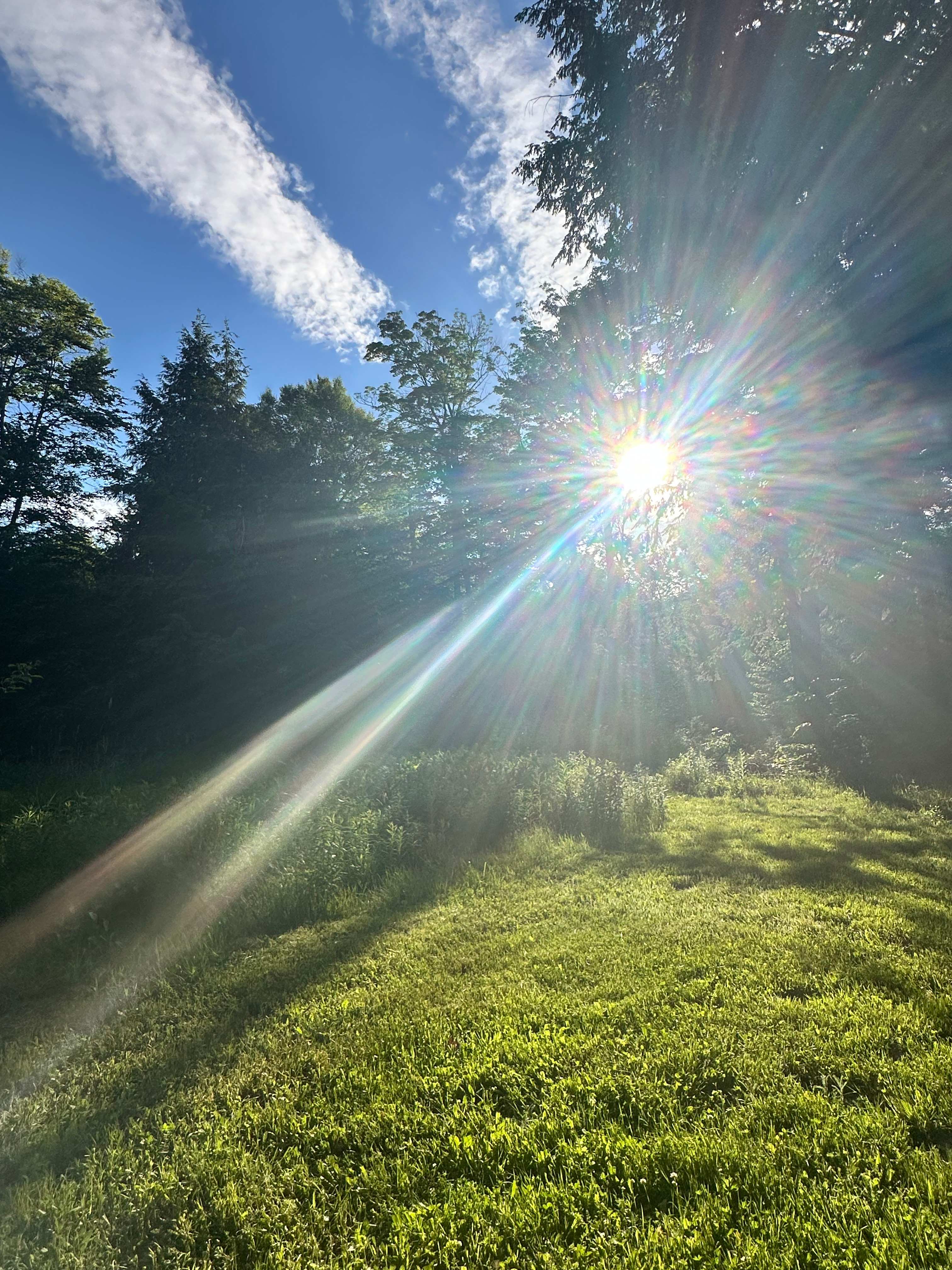 There are numerous cleared spaces directly off the walking path for you to choose from. Please be mindful of our strict carry-in, carry-out policy.