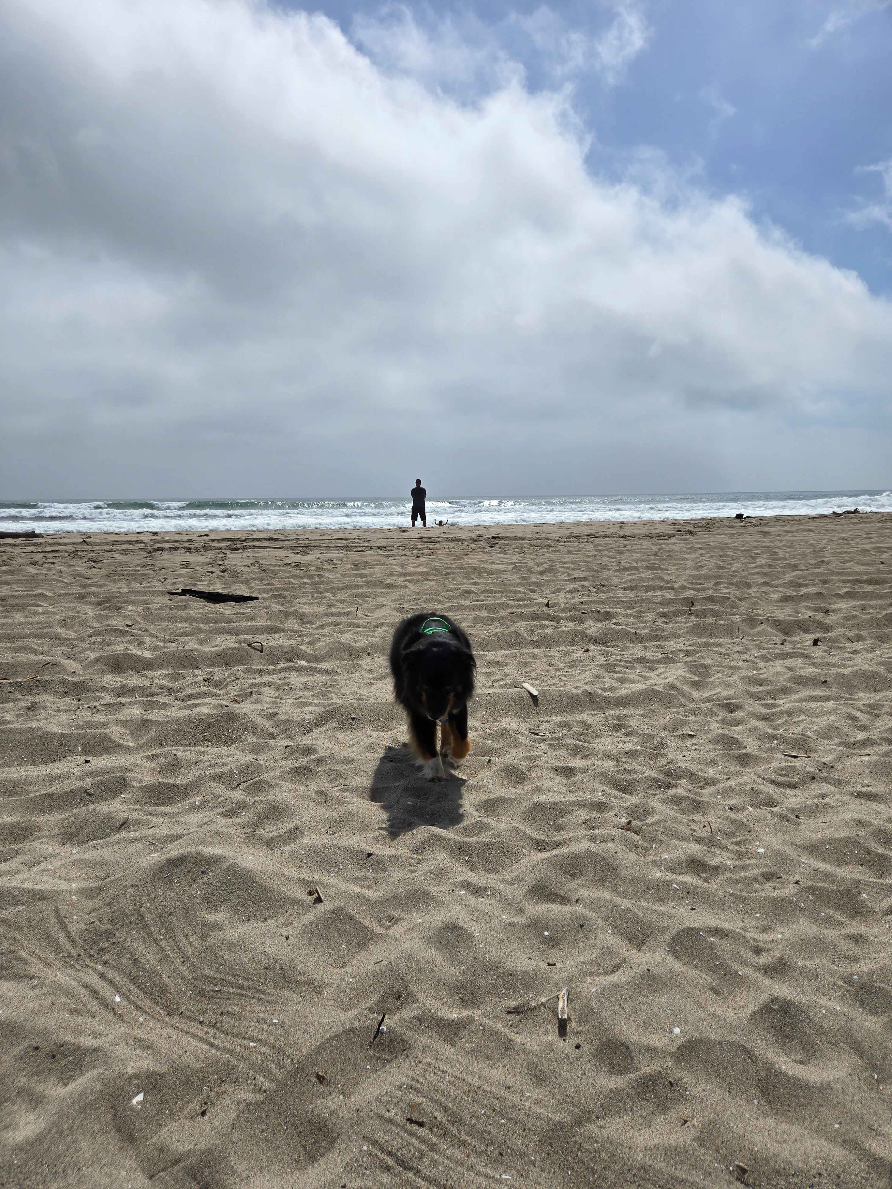 La Selva Beach 