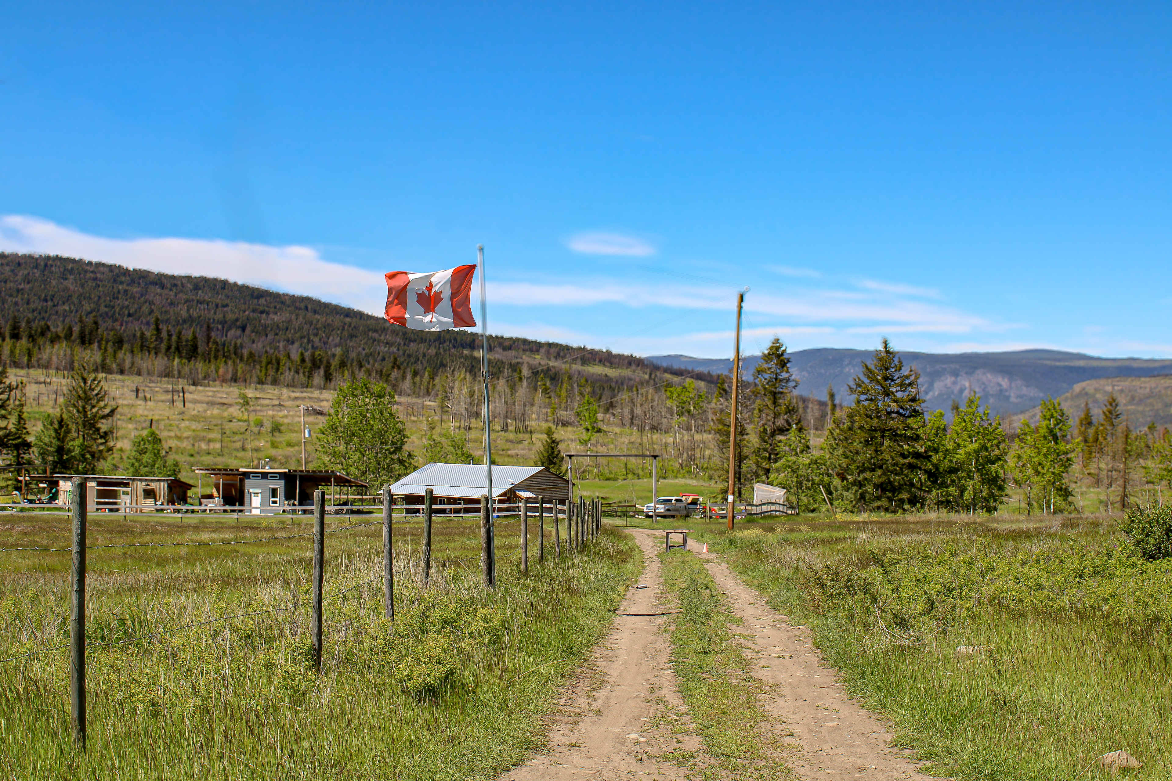 Picture of the site