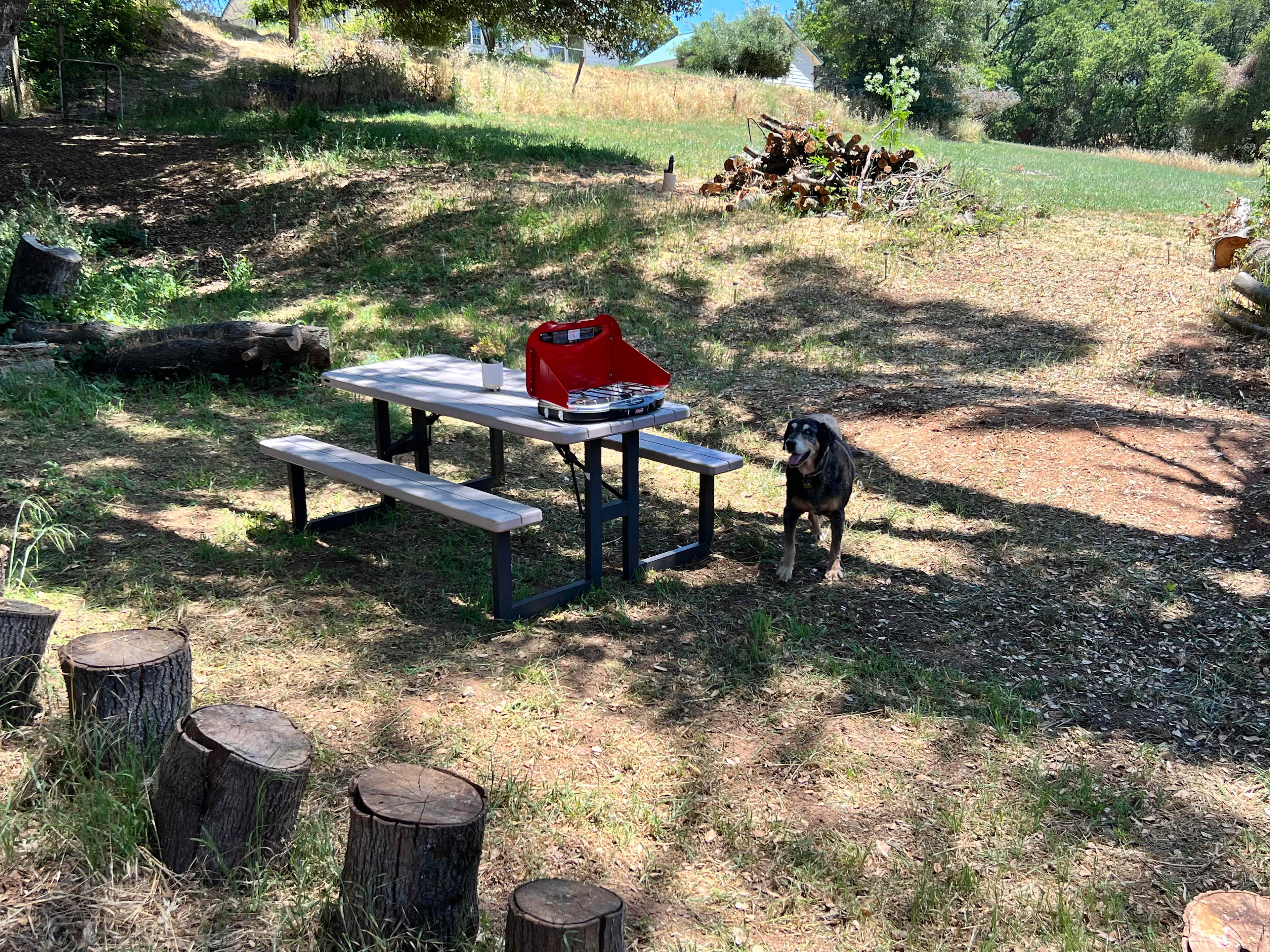 Communal kitchen and hang out area