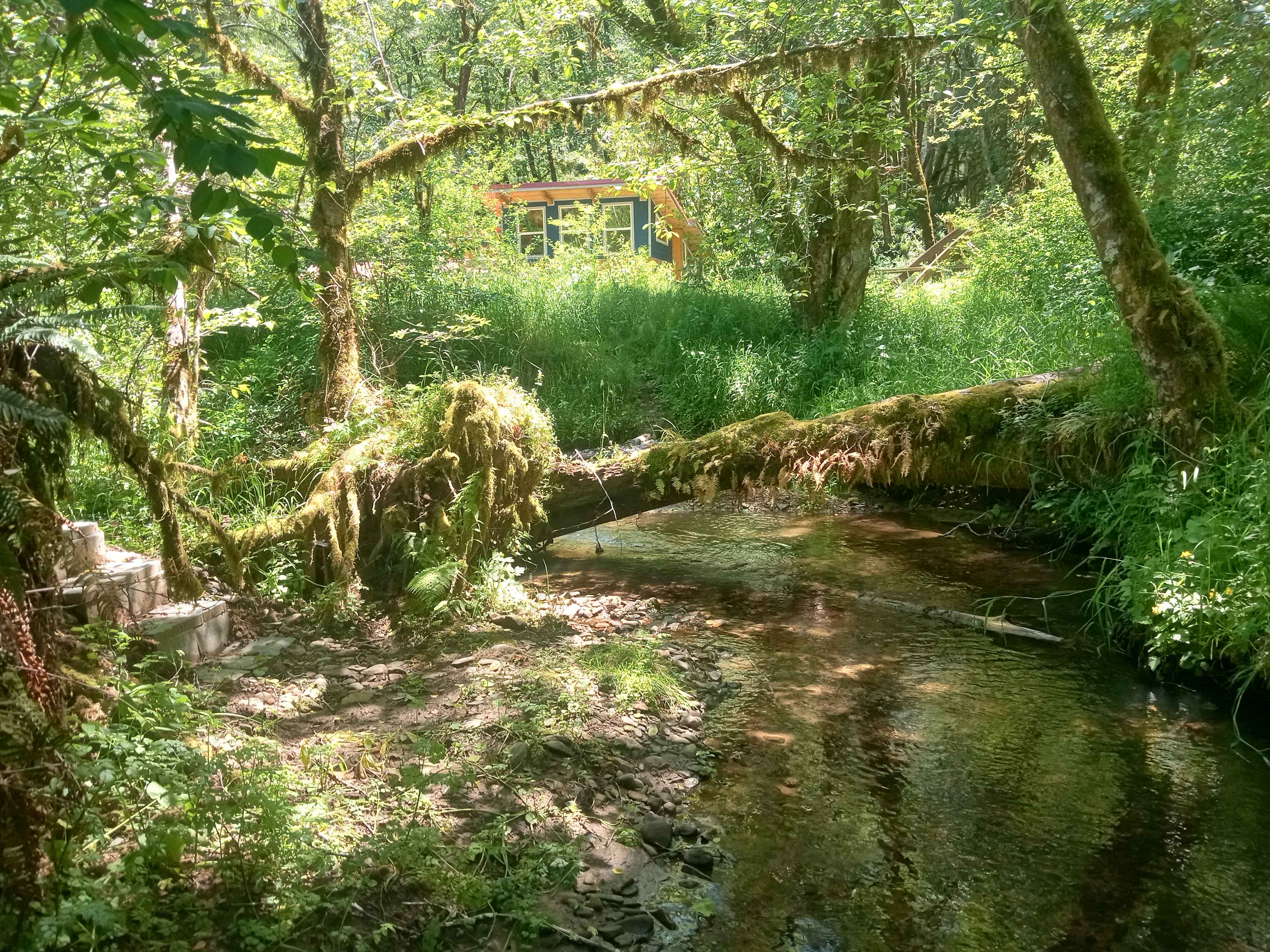 Alsea Valley Farm