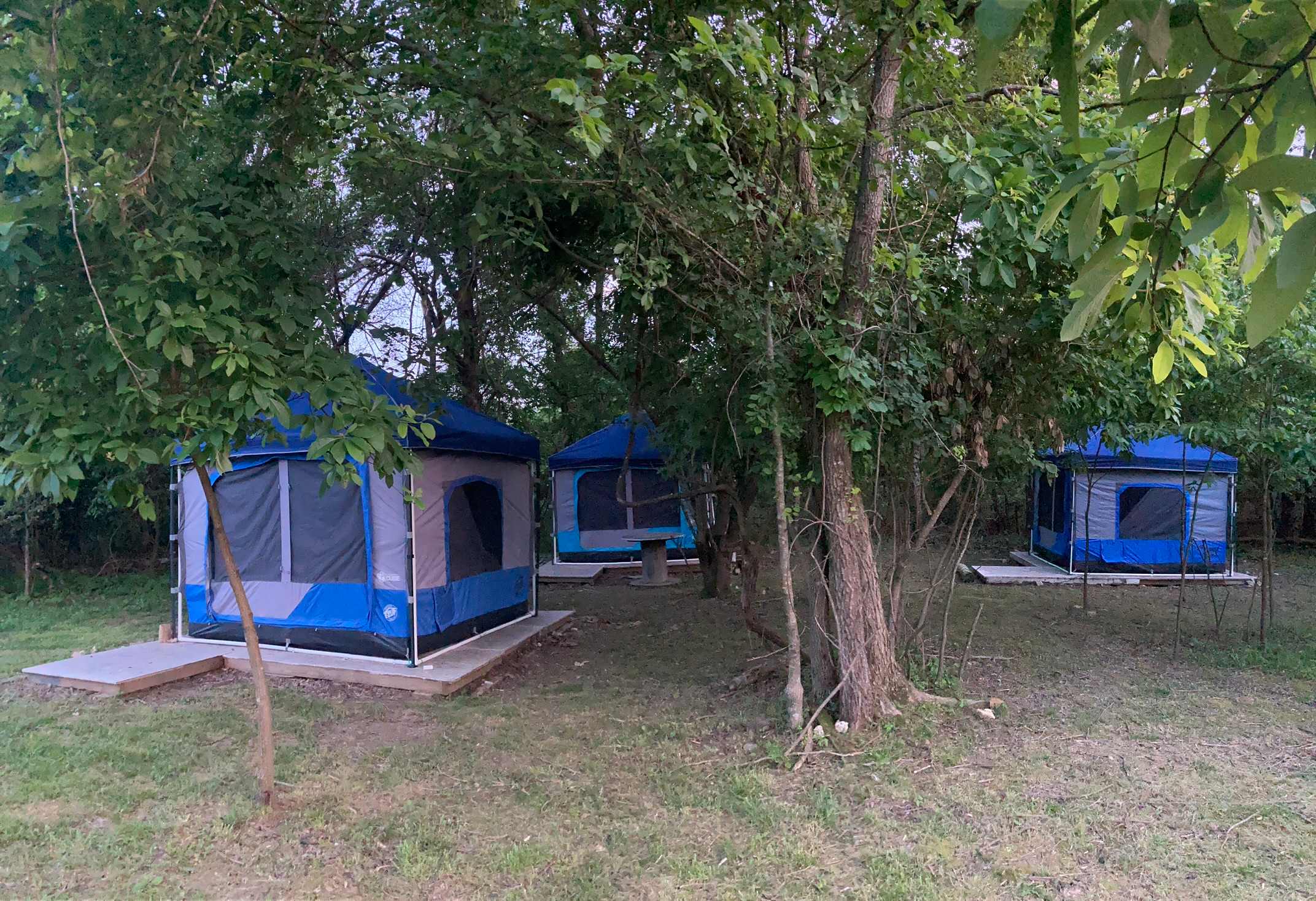 Picture of the site
